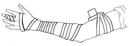 SfgH553251.jpg