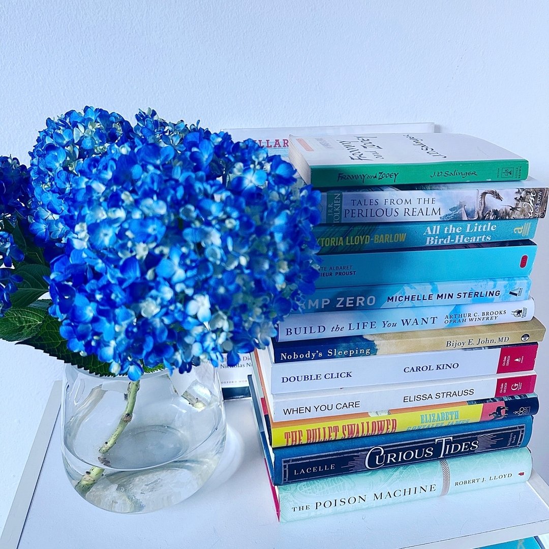 What activity is on your spring bucket list? I really want to go sit in Central Park near some beautiful flowers to sit and read and enjoy the weather. 🪻🌷

See anything you're interested in from my #tbr stack? Tell me in the comments!

#tbr #spring