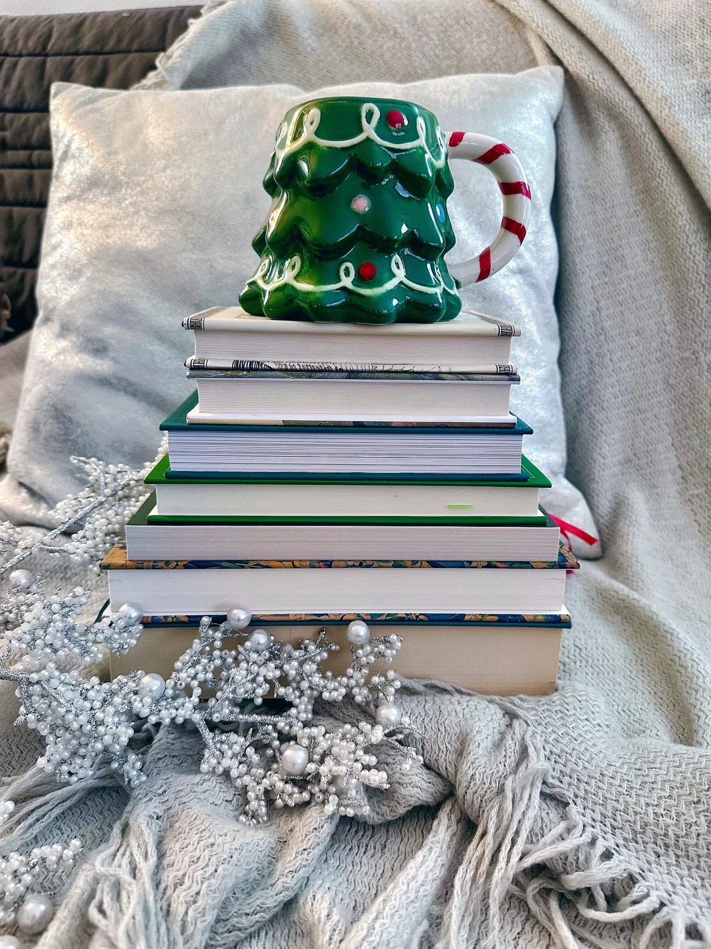 Did you accomplish your reading goals for 2025? I usually set my GoodReads goal lower than I think I can achieve, so it feels really good when I accomplish it! 

📚My Goodreads goal was 45, and I've read 70!
📚I have 279 books in my desktop folder. I