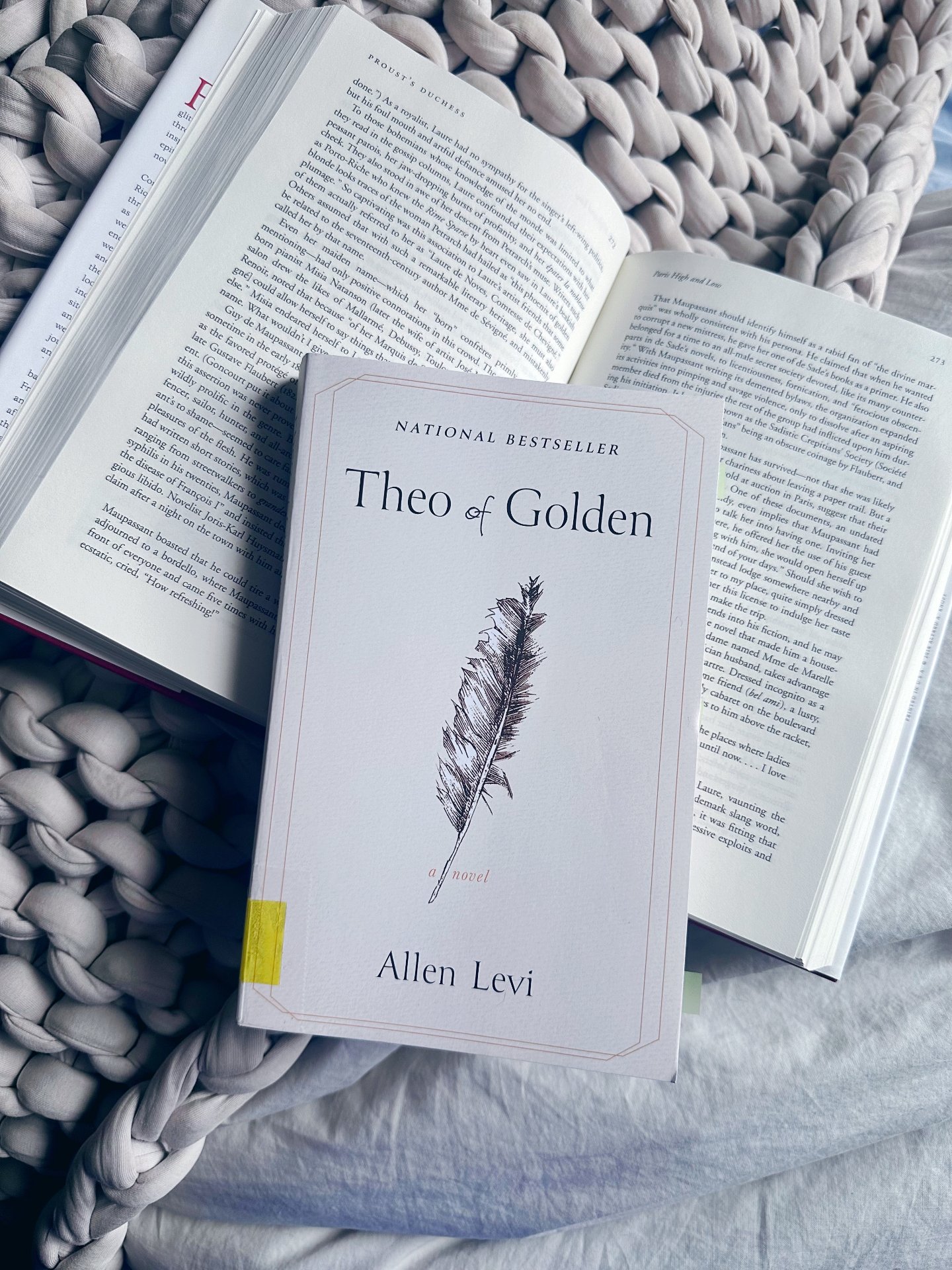 What's one book that's been super hyped that you really loved? (or really didn't- I still want to hear about it!)

I just got THEO OF GOLDEN by Allen Levi from the library, and I'm so glad I did. I've seen this book everywhere, people raving about it