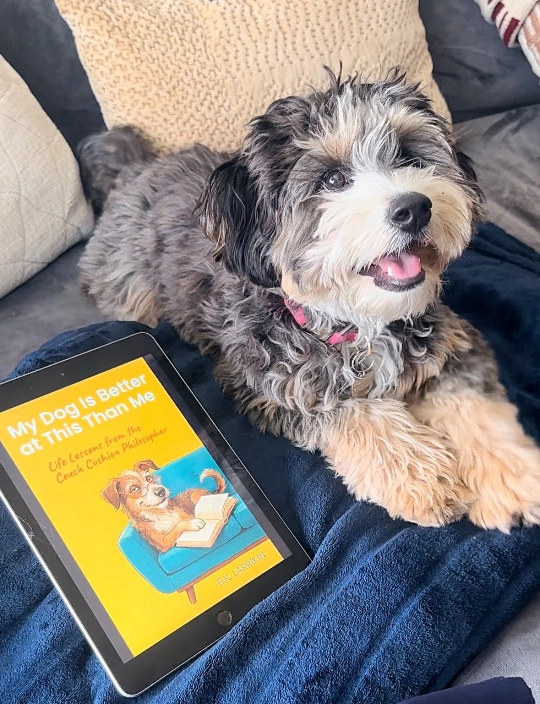 My social media intern, Miche, would like to direct your attention to her new favorite book, MY DOG IS BETTER AT THIS THAN ME by B.K.Larkin. 🐶LINK IN BIO🐶 @terrapagepress

🐾This is so much more than a &ldquo;self-help book disguised as a love lett