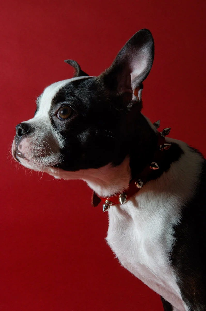 Bella 122-2.jpg