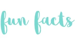 funfacts.jpg
