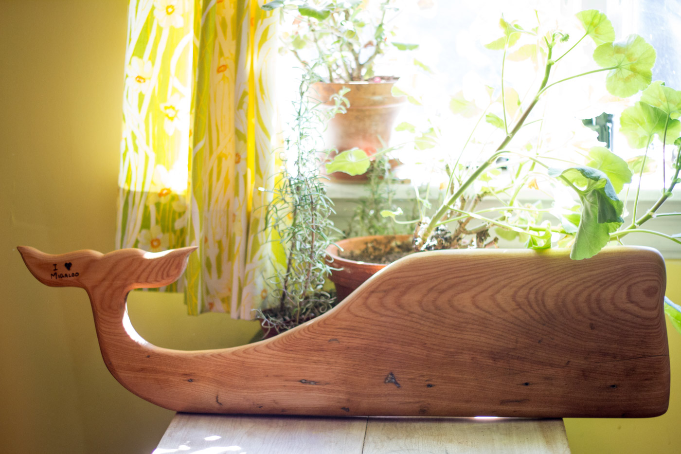 BeReclaimed - Reclaimed Wood Whale Board - Reclaimed Maple - Roncesvalles Toronto.jpg