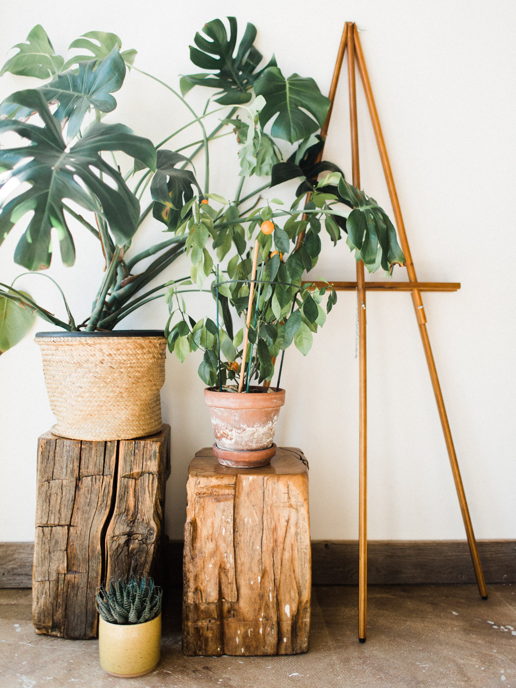 BeReclaimed - Reclaimed Wood Stools - Elm and Hemlock - Sidetables - Collingwood.jpg