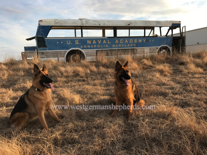 sisters sandy (left) and osa (right) on the military base