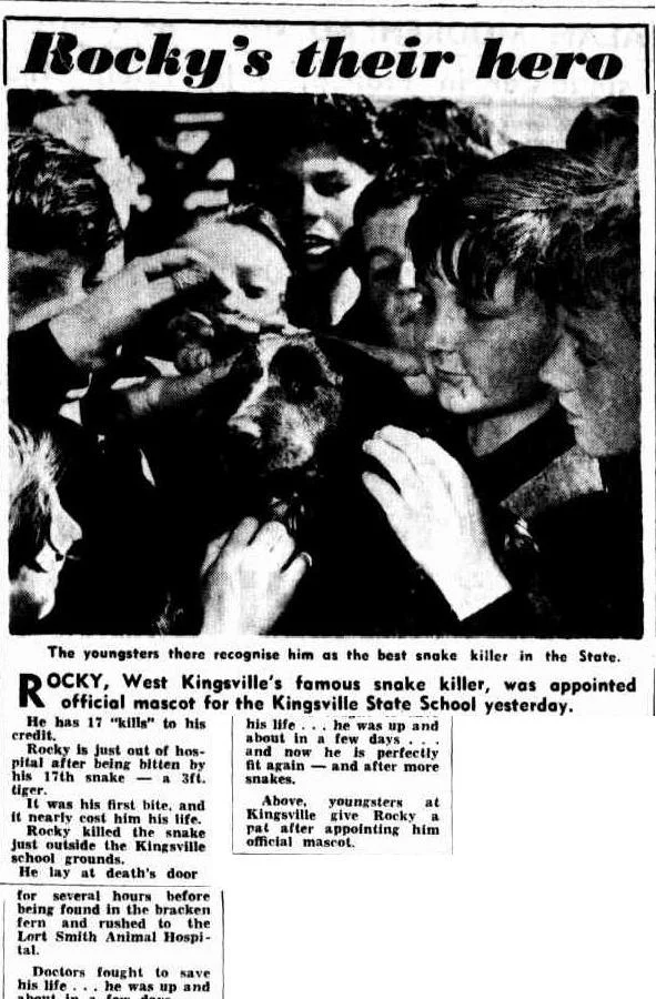 The argus, 25/11/1954
