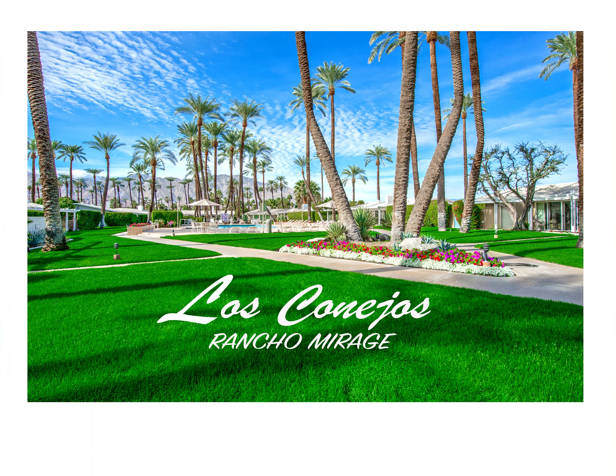 Real estate marketing materials