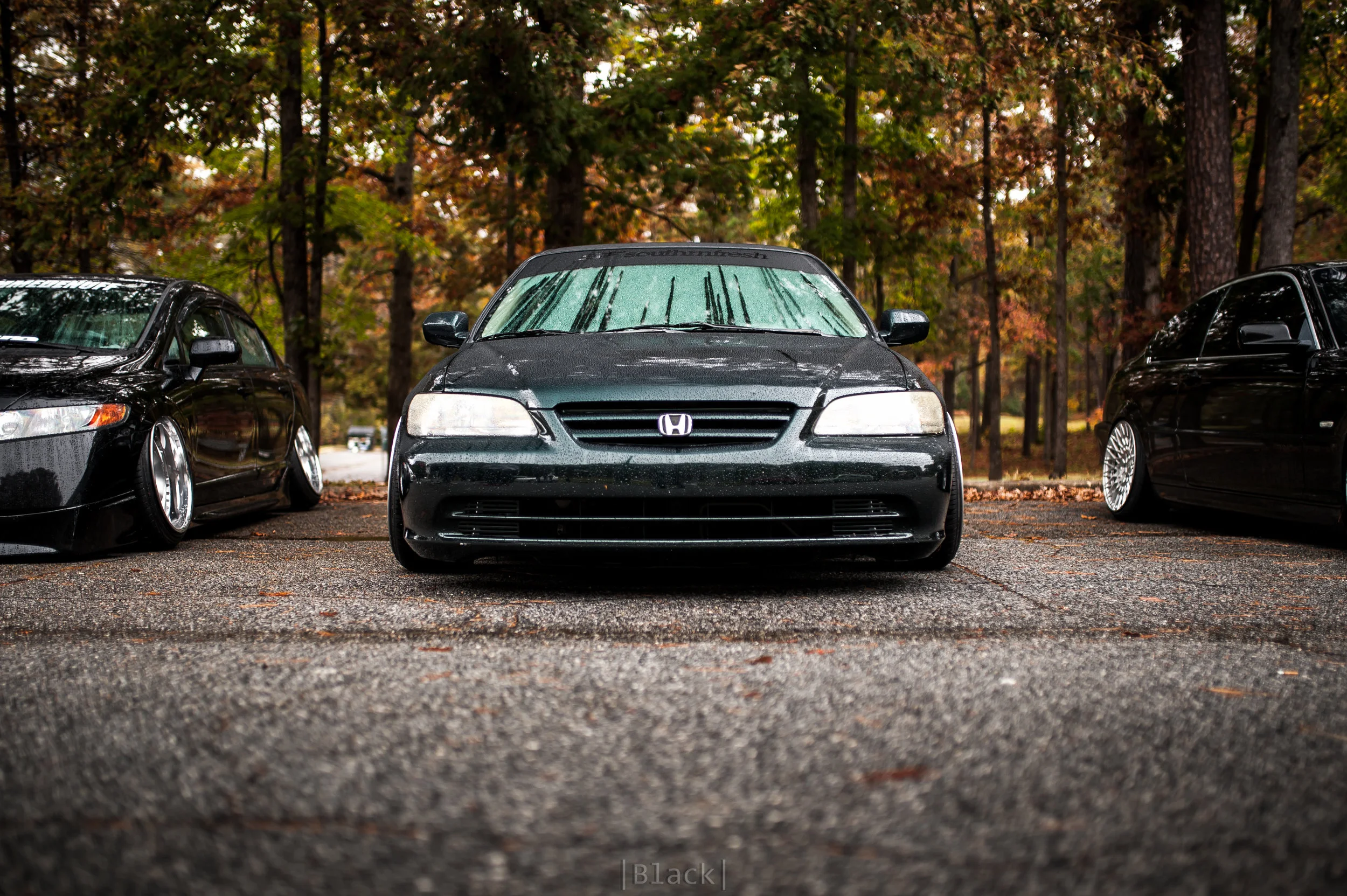 f8035310.jpg