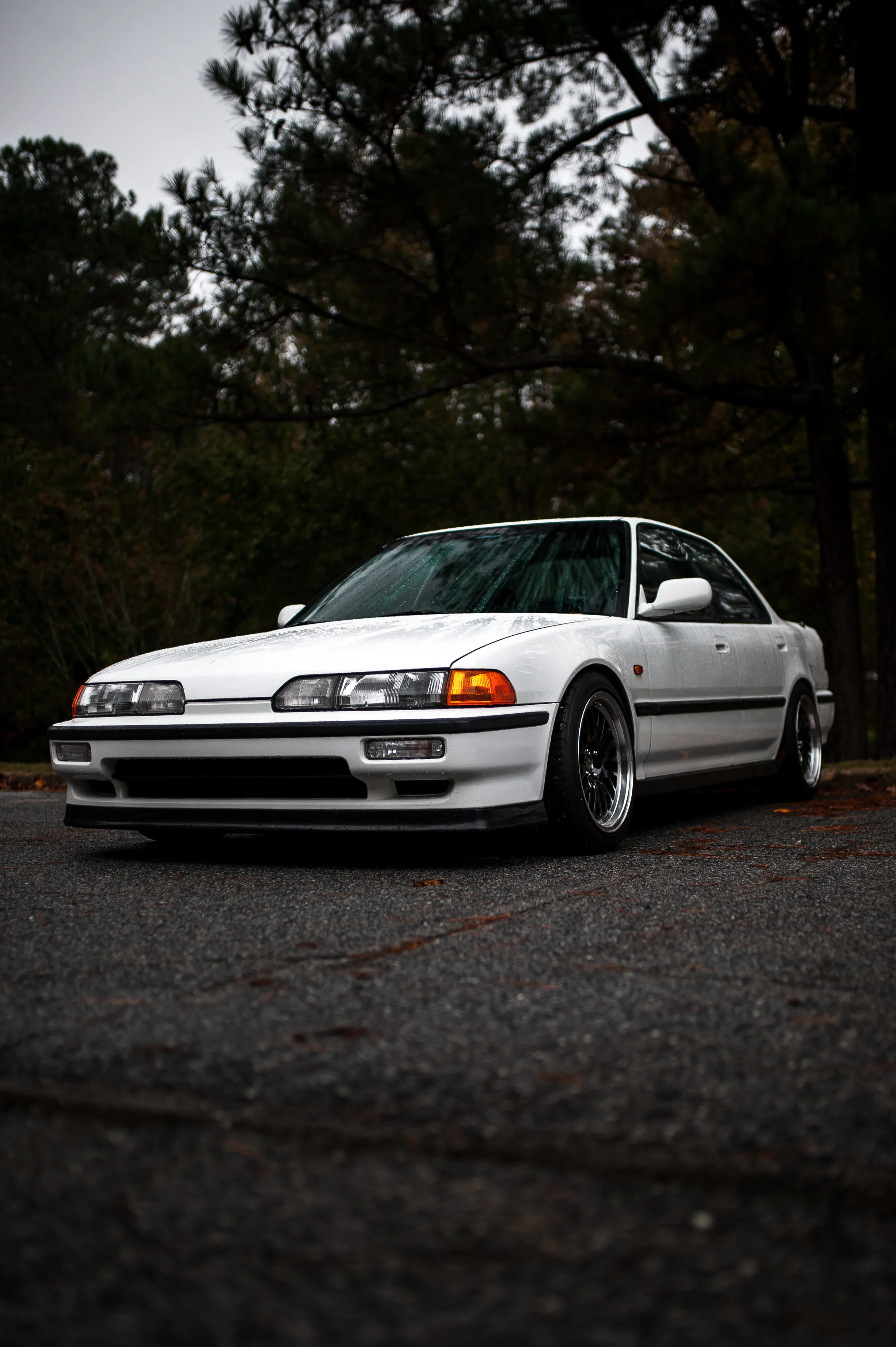f8860142.jpg