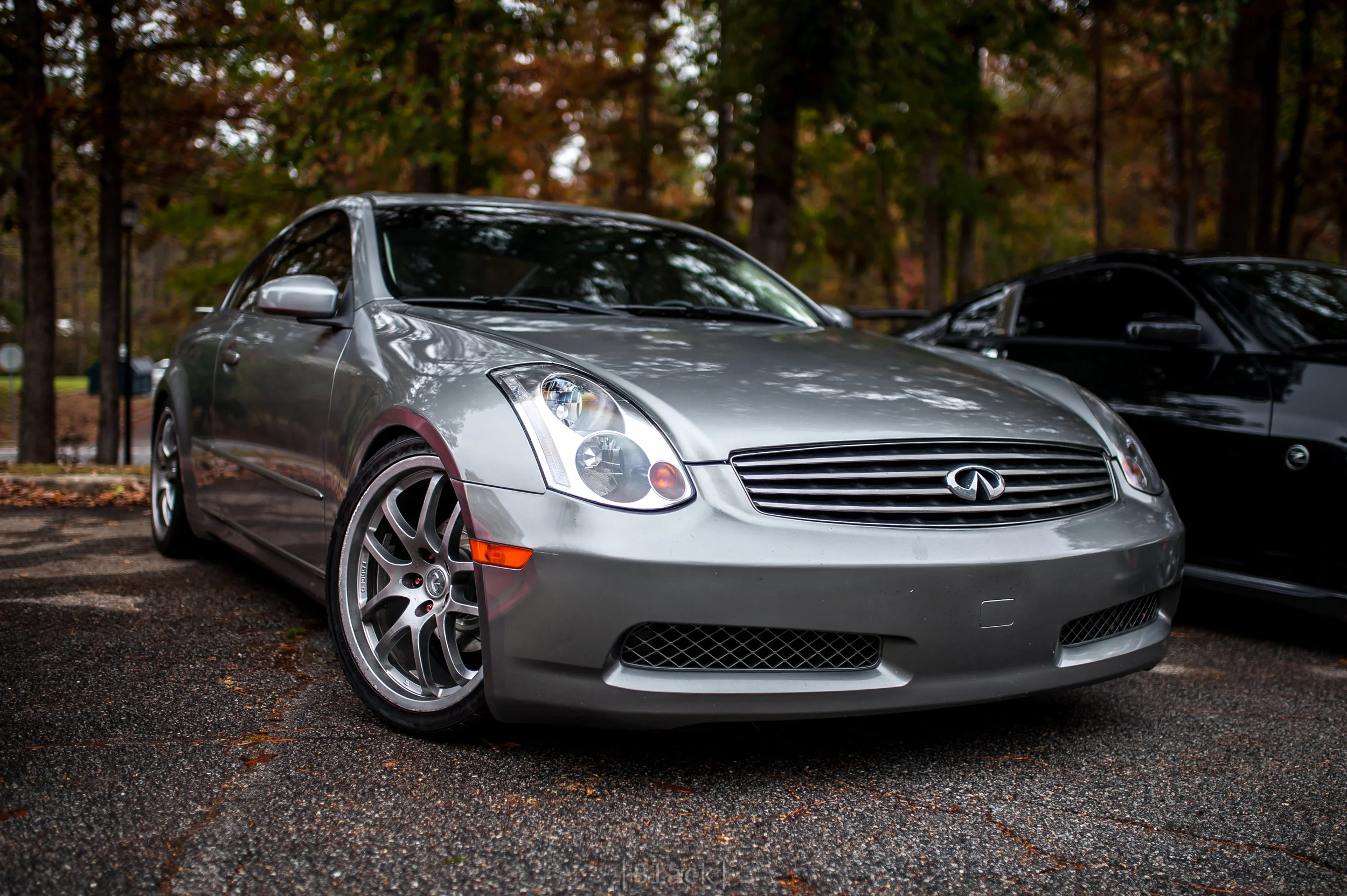 f12772206.jpg