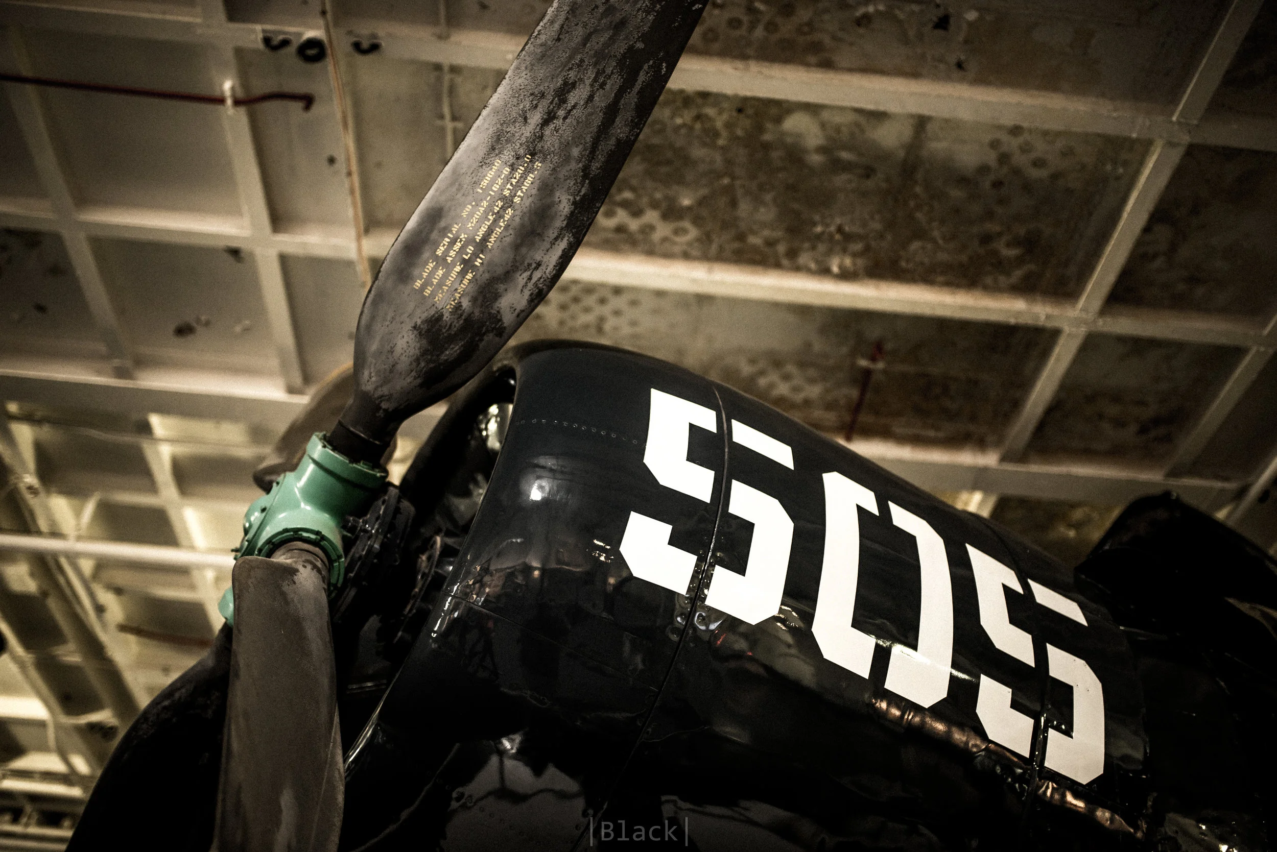 ELD_4022.jpg