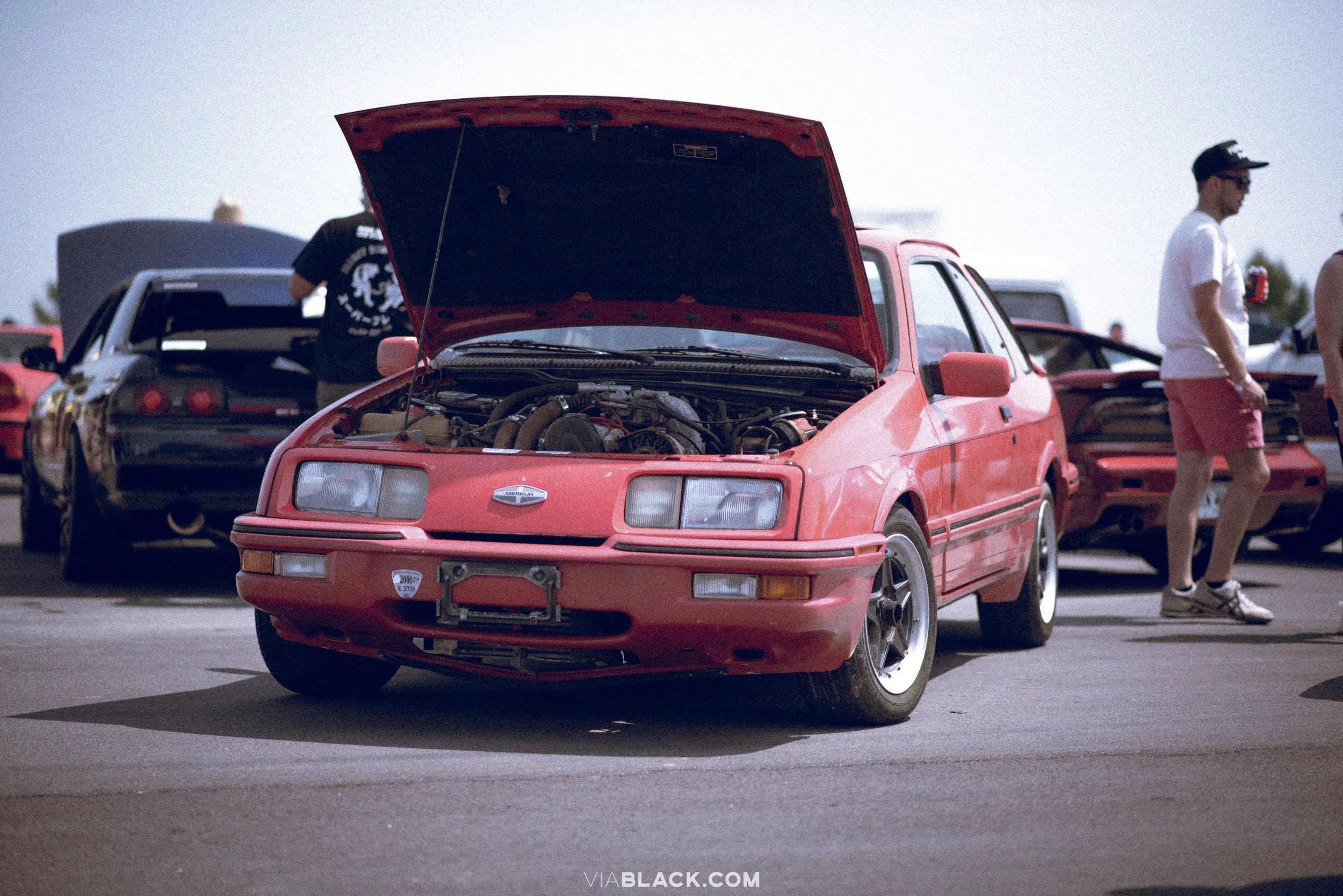 ELD_9740.jpg