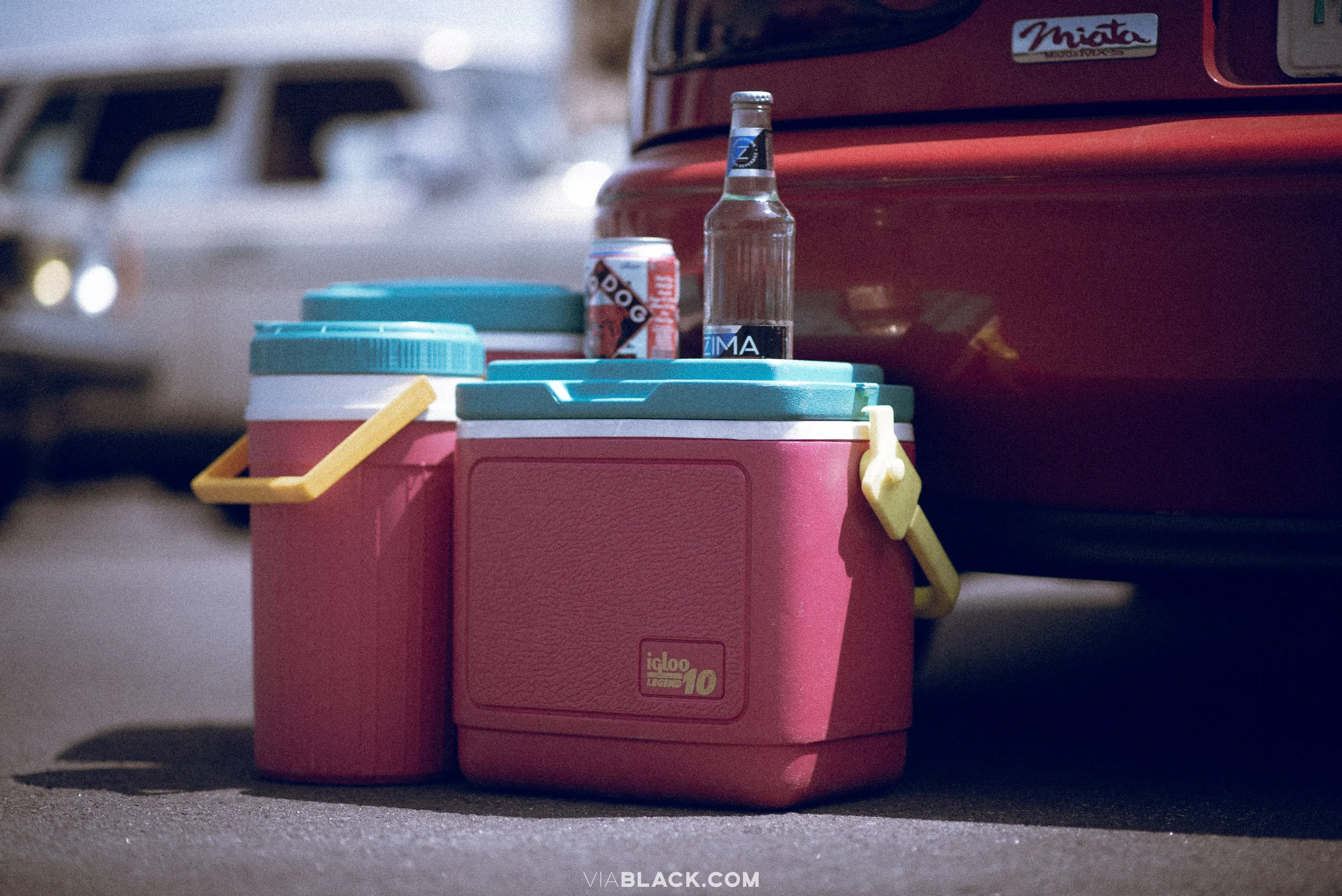 ELD_9768.jpg