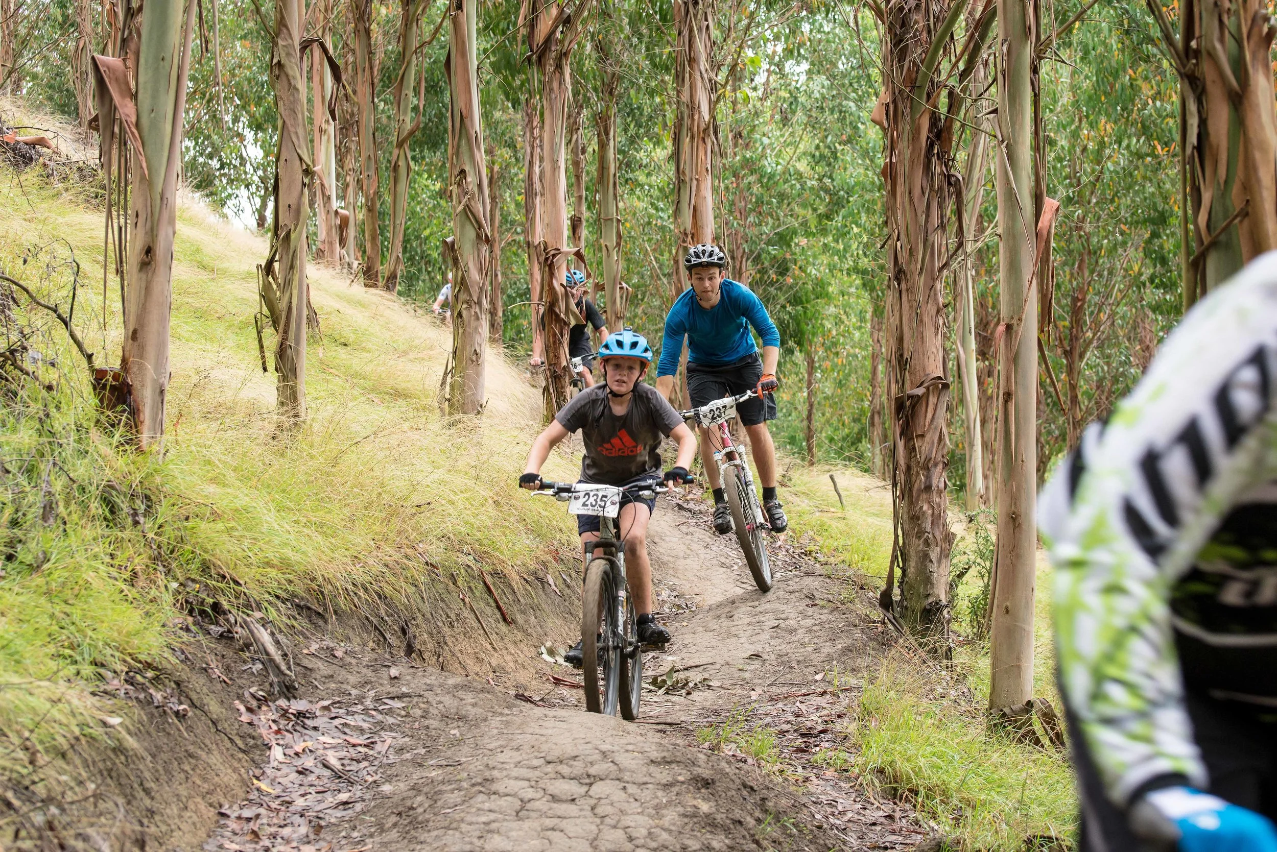 gumtree electric mountain bike