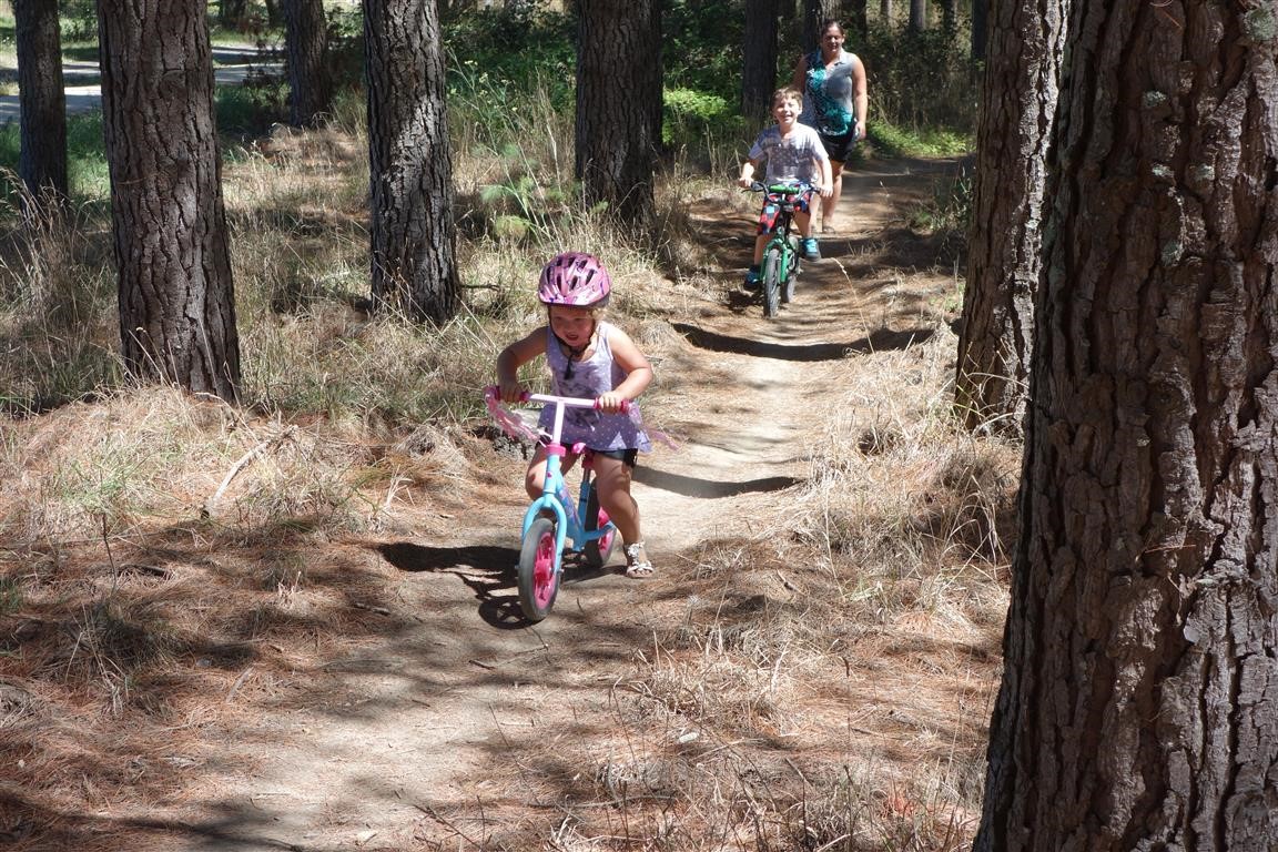 Kids in Pine trees.jpg