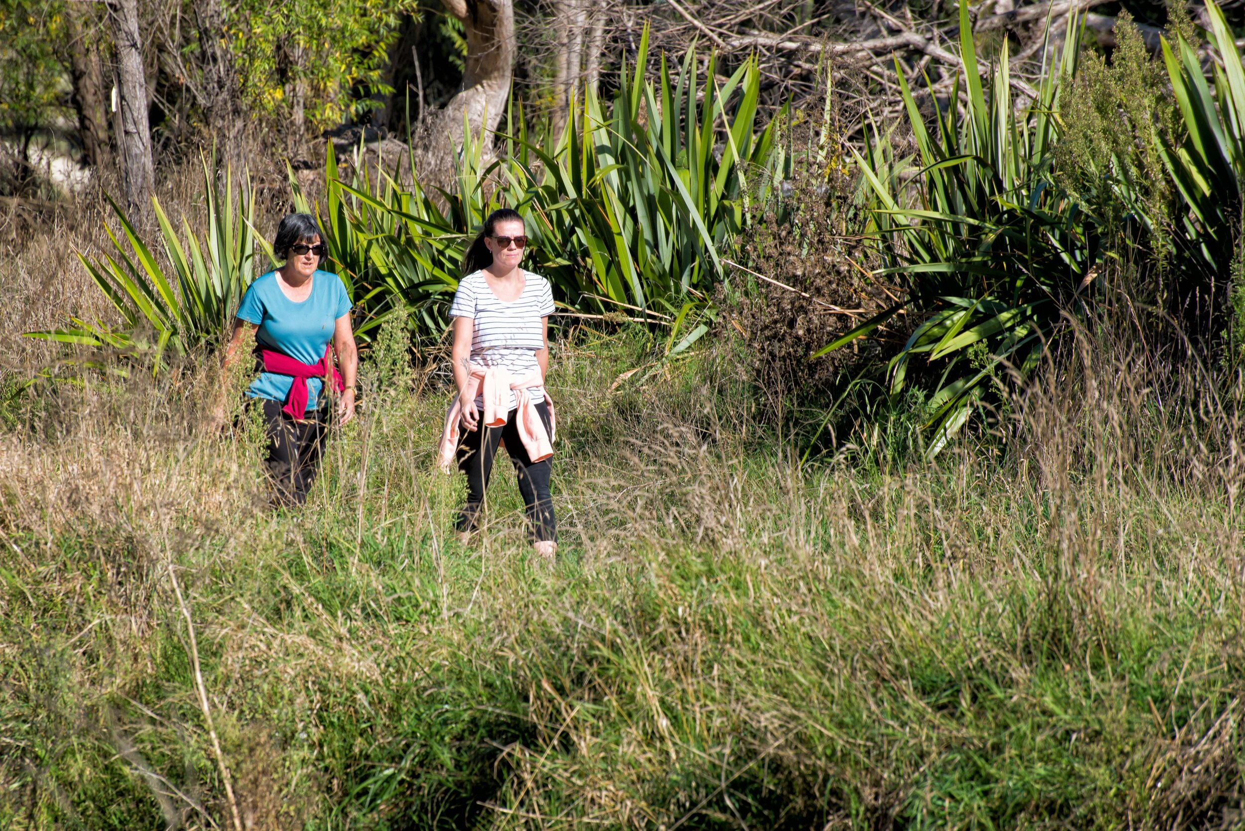 Walkers along the Tuki Tuki river trails