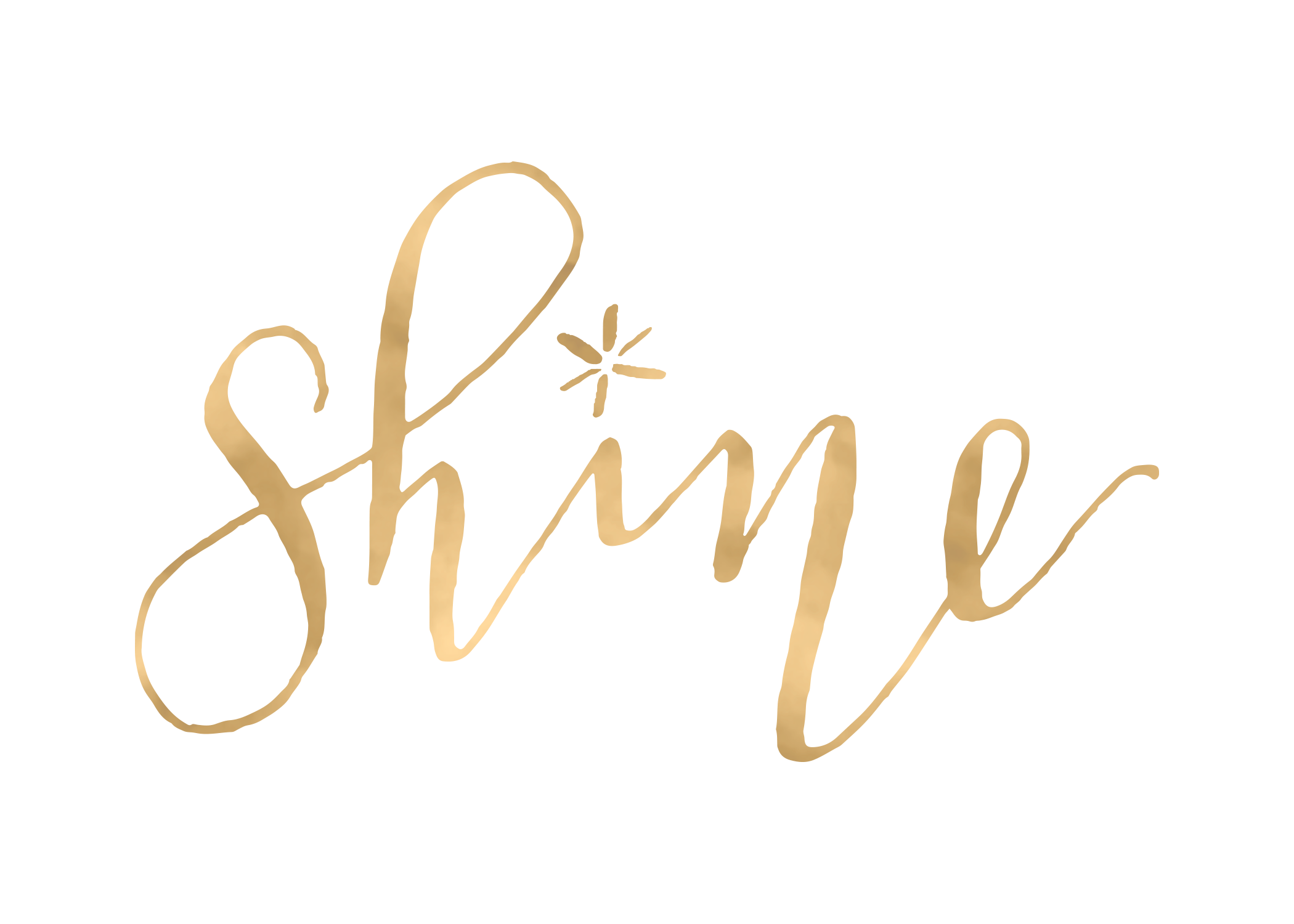 Bible — Shine