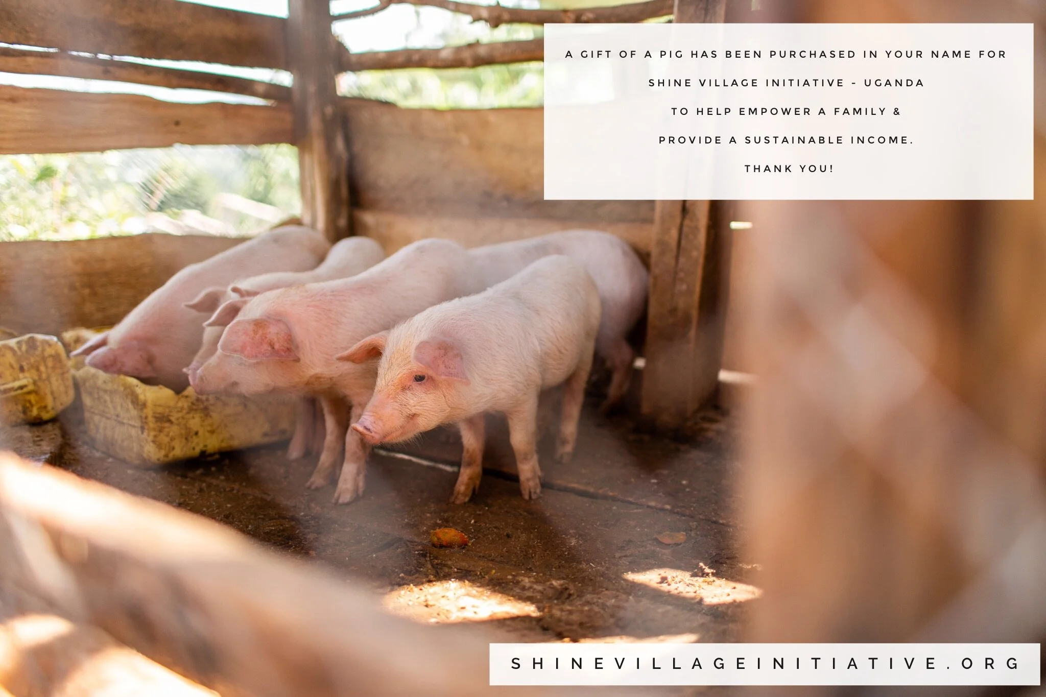 1E6E72CC-6C0B-4CC5-888F-6814F828389B