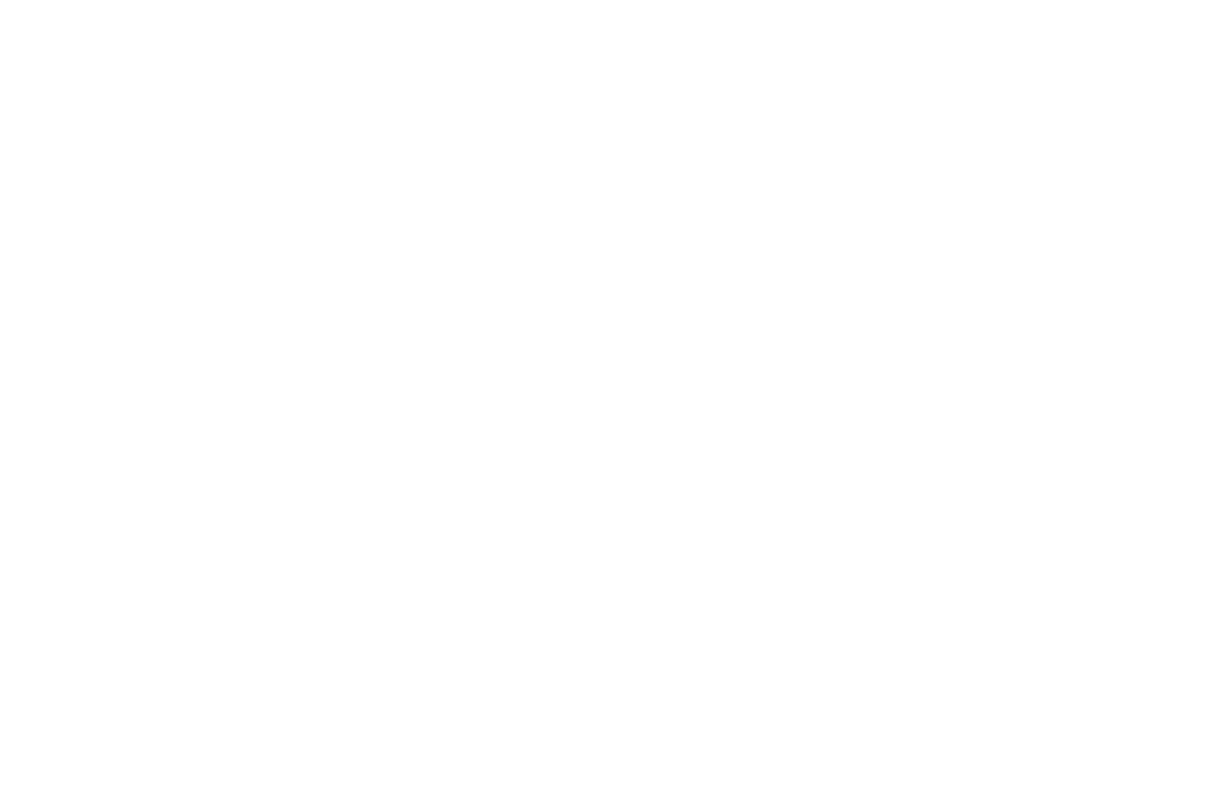 WINNER - Jersey Shore Film Festival - 2018 copy.png