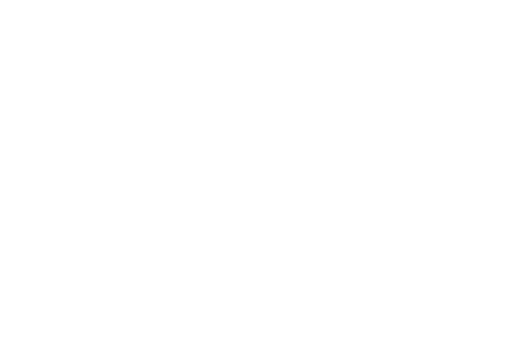 WINNER - Atlantic City Cinefest - 2018-5.png