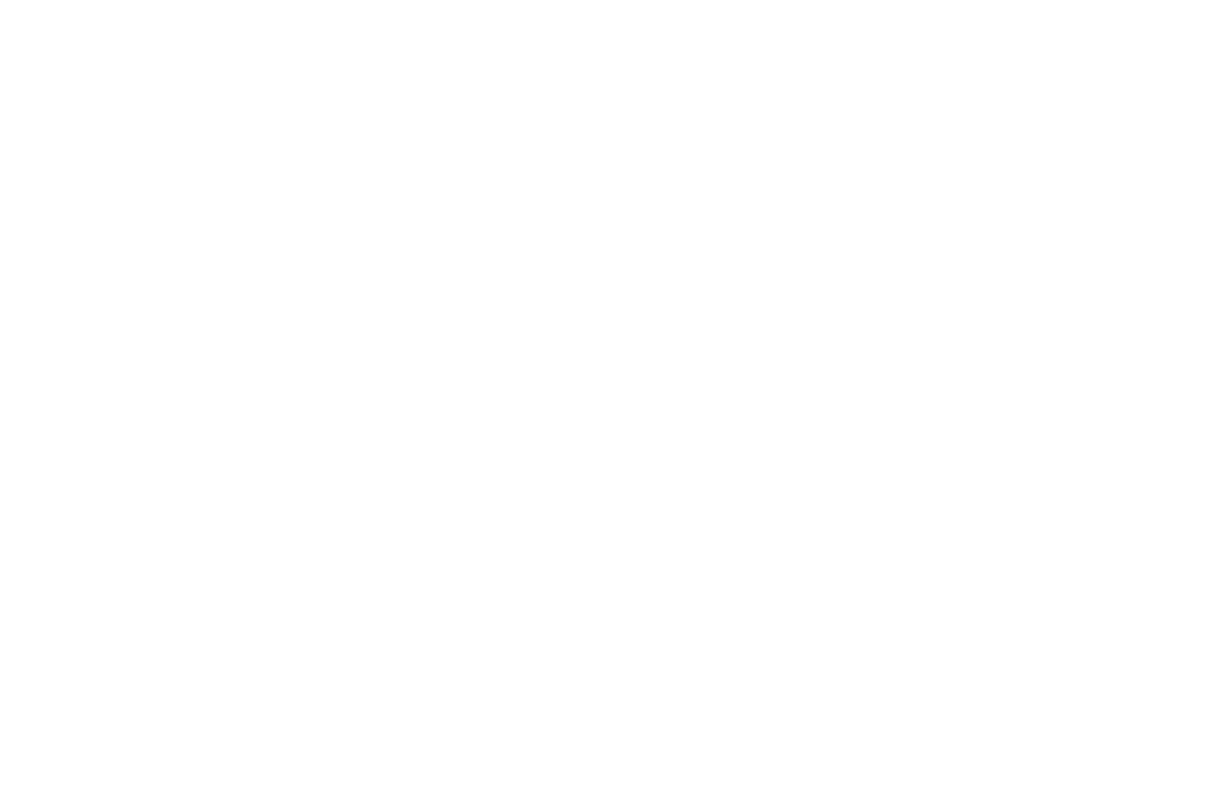 SEMI-FINALIST - The 2 Film Festival - 2018.png