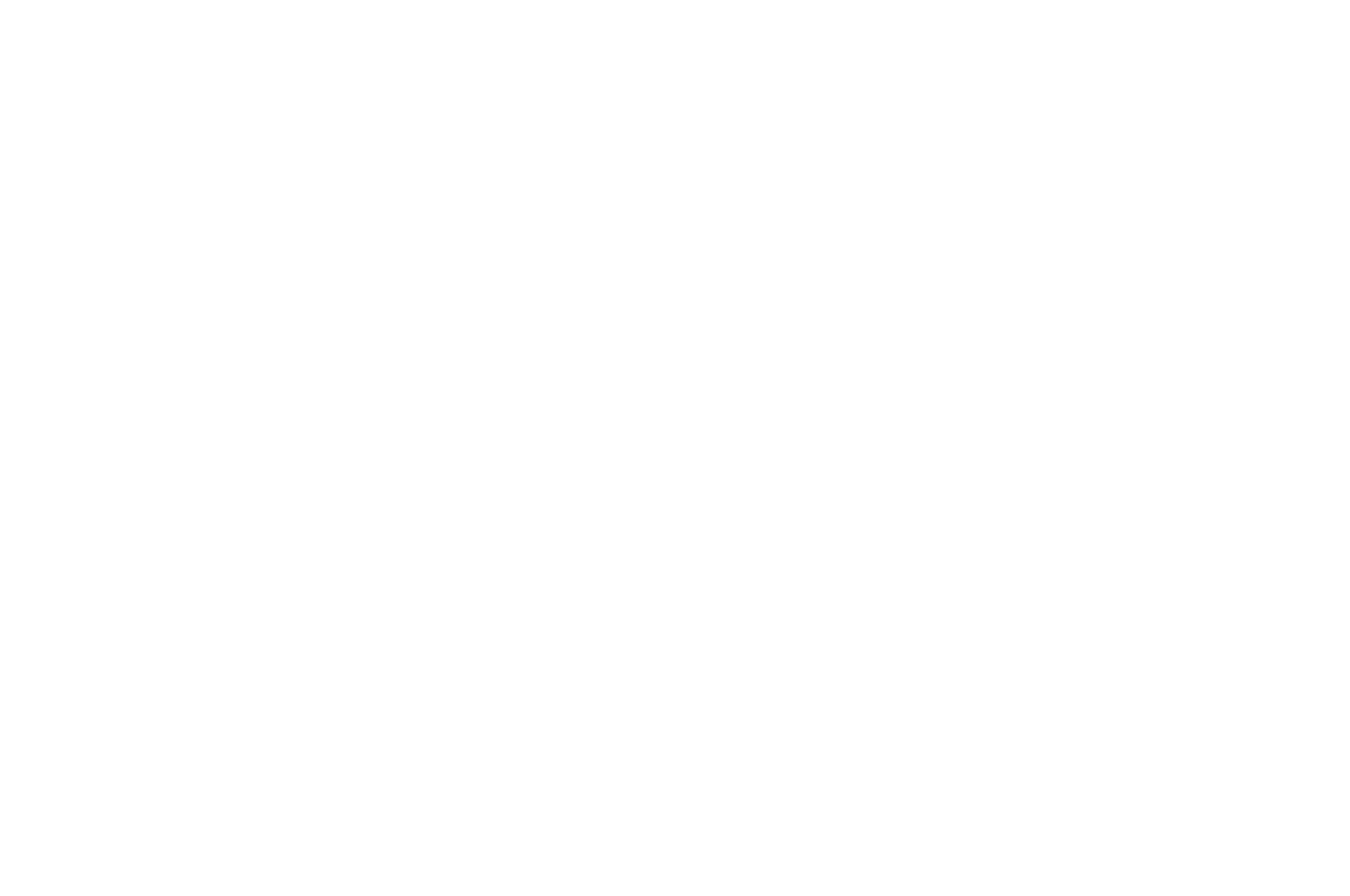 AWARD NOMINEE - Roselle Park Short Film Festival - 2018-2.png