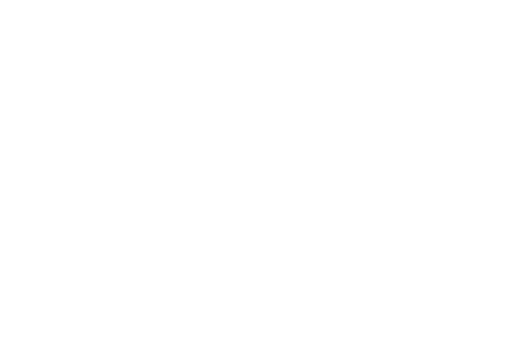 AWARD NOMINEE - Clean Shorts Film Festival - 2019.png