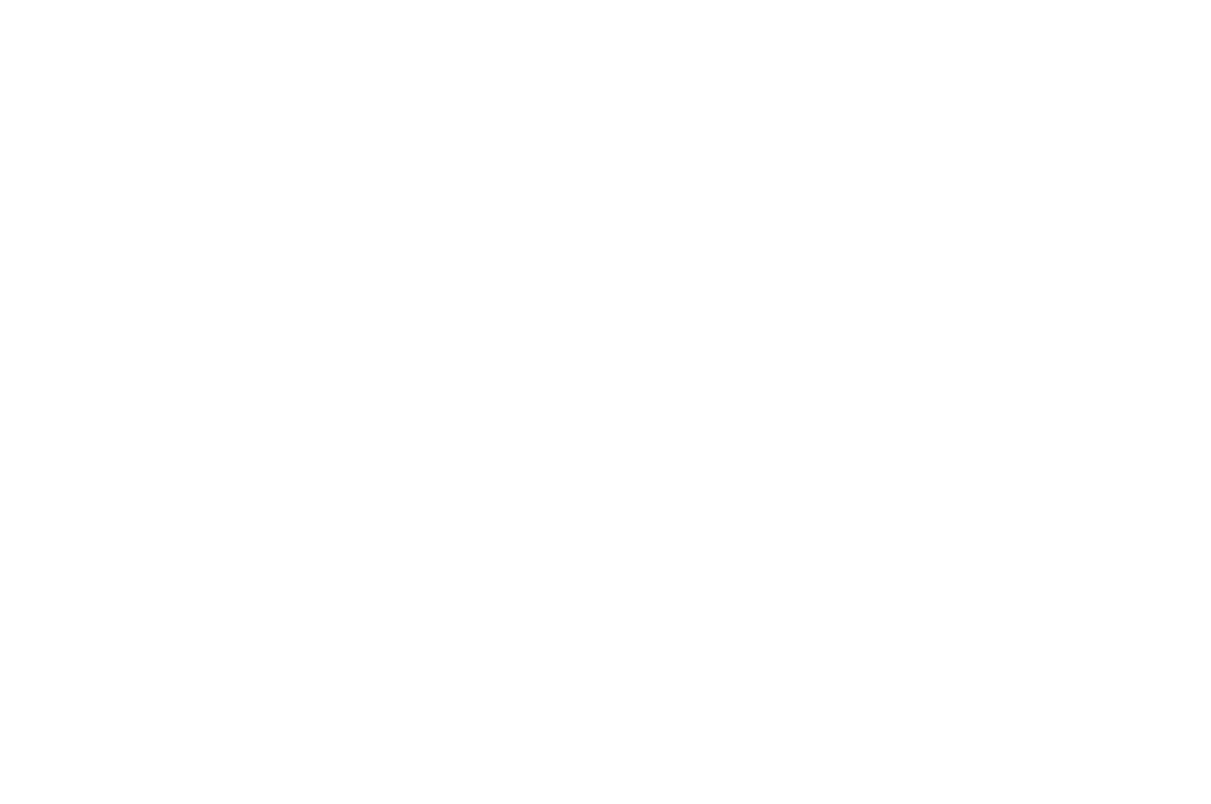 OFFICIAL SELECTION - Hudson Valley Film Fest - 2019-2.png