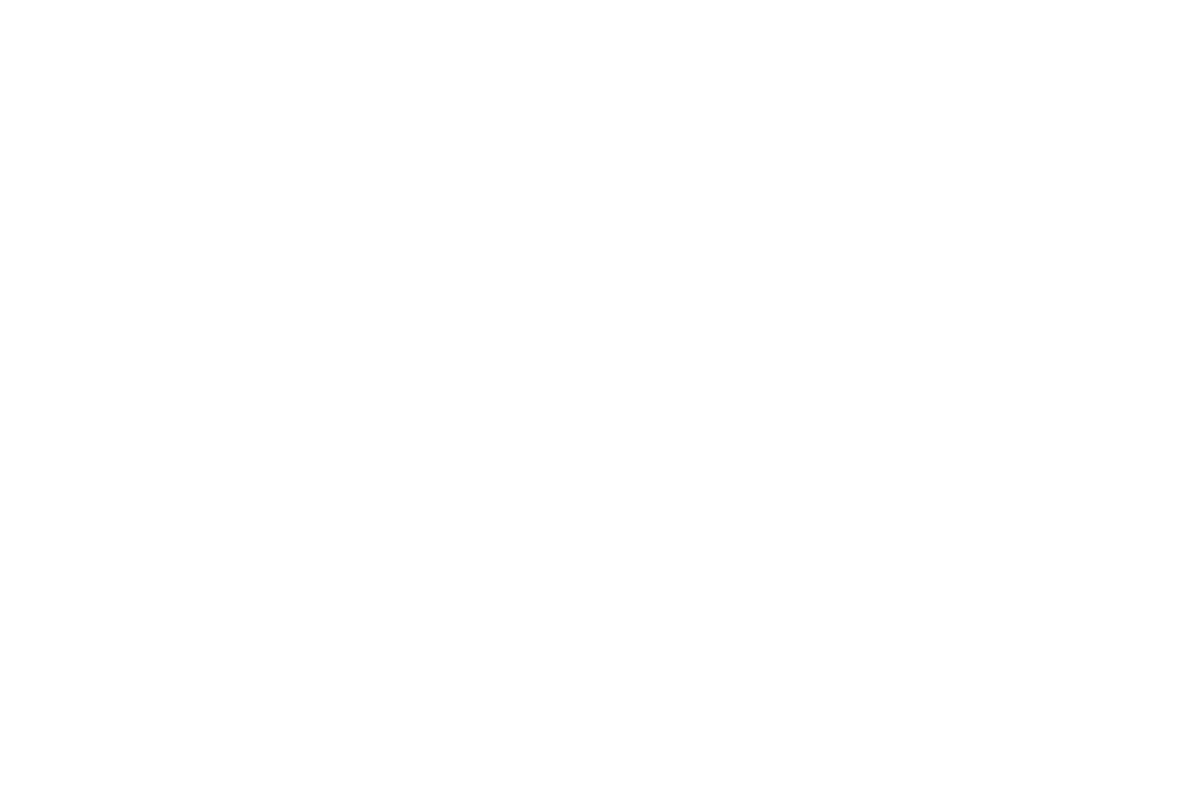 WINNER - Atlantic City Cinefest - 2019.png
