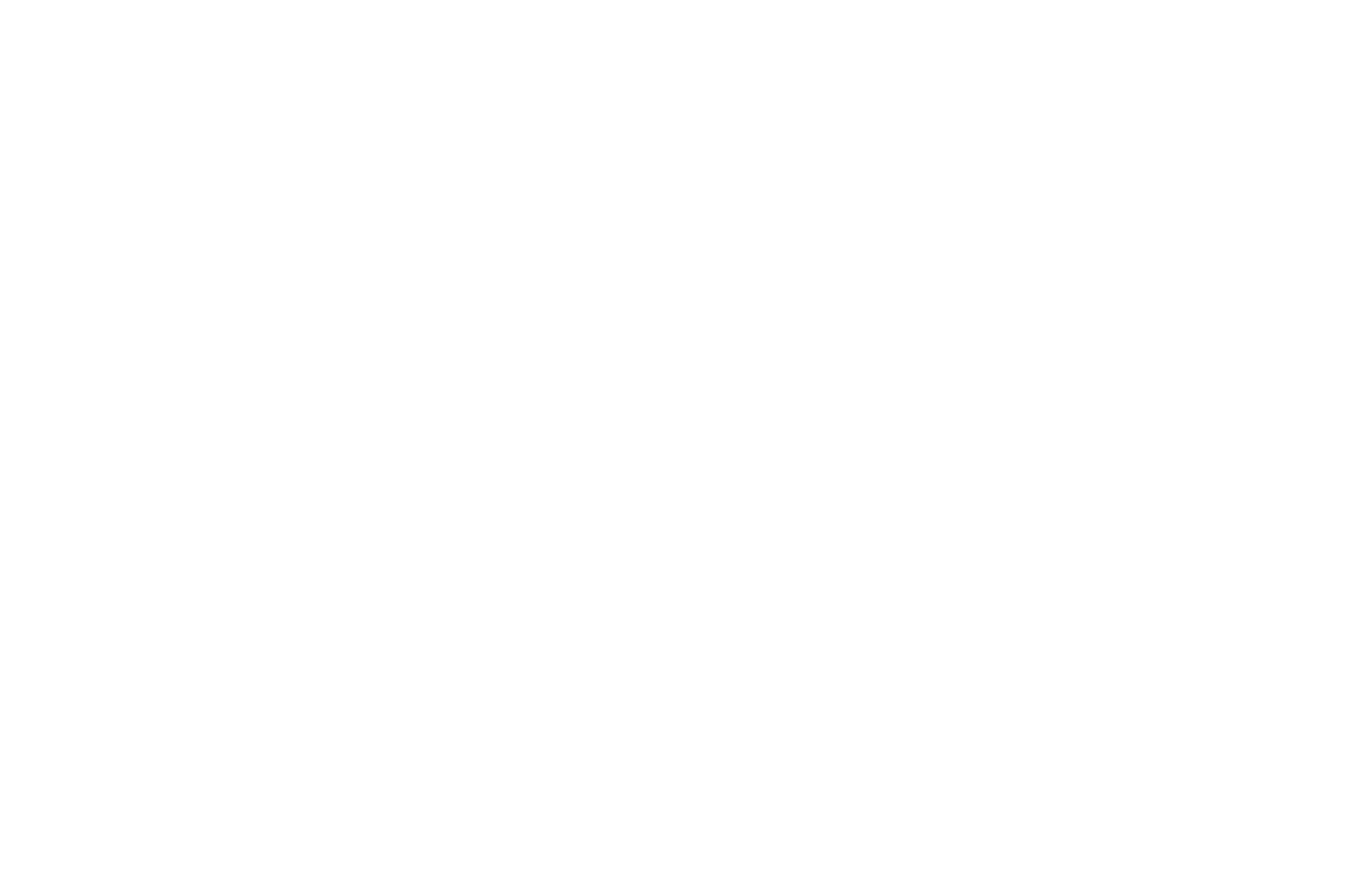 OFFICIAL SELECTION - Madrid Film Awards - 2020-2.png