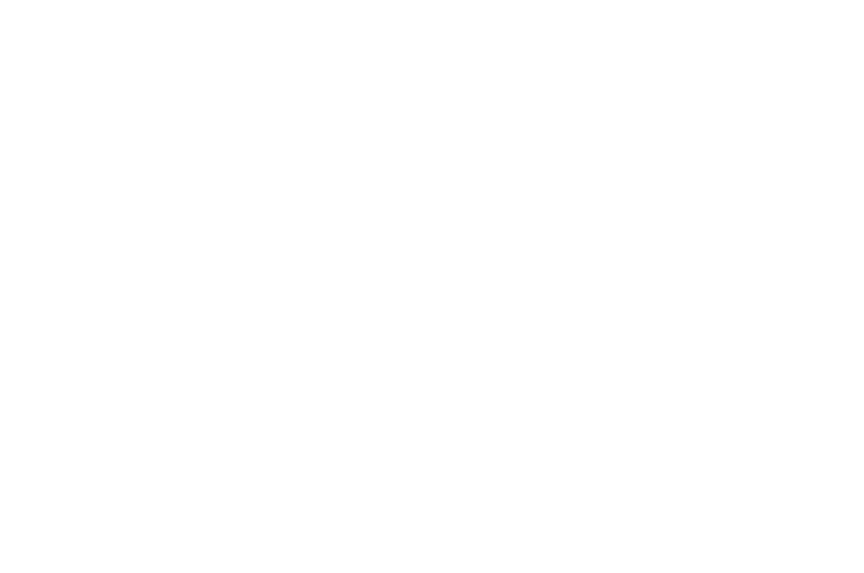 OFFICIAL SELECTION - Hudson Valley Film Fest - 2020-2.png