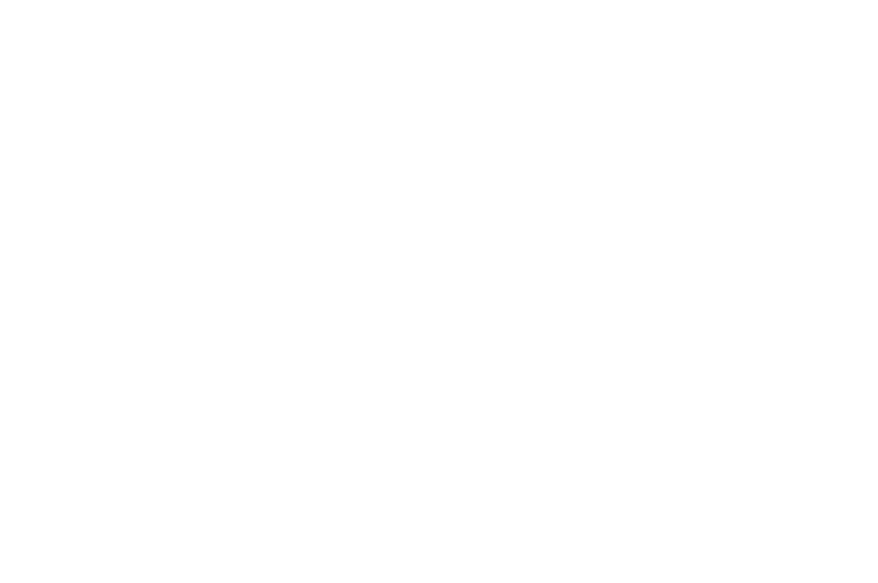 OFFICIAL SELECTION - Turnpike Film Festival - 2020-2.png