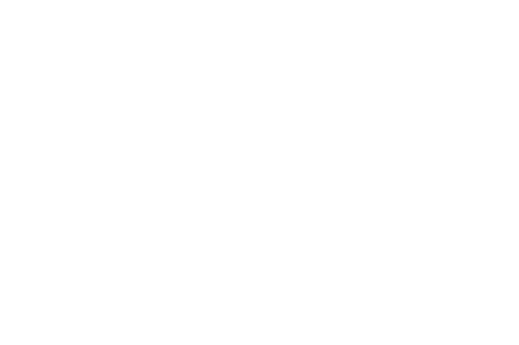 OFFICIAL SELECTION - POSTER - Turnpike Film Festival - 2020.png