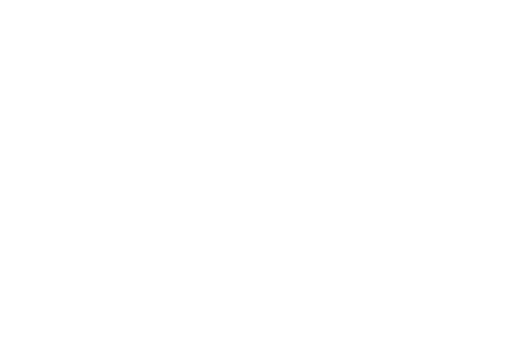 OFFICIAL SELECTION - FilmOneFest - 2020.png