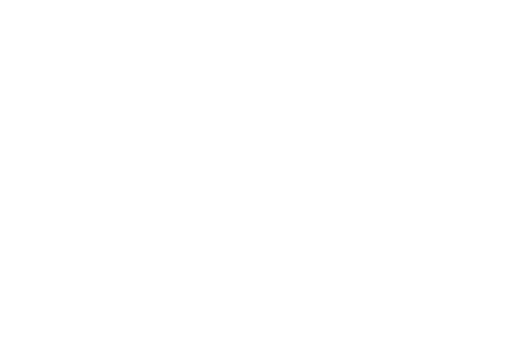 OFFICIAL SELECTION - The Quarantini Monthly Film Festival - 2020.png