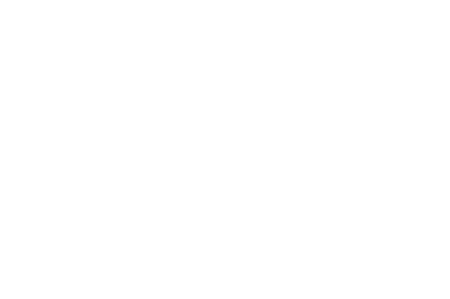 AWARD NOMINEE - The Brightside Film Festival - 2020.png