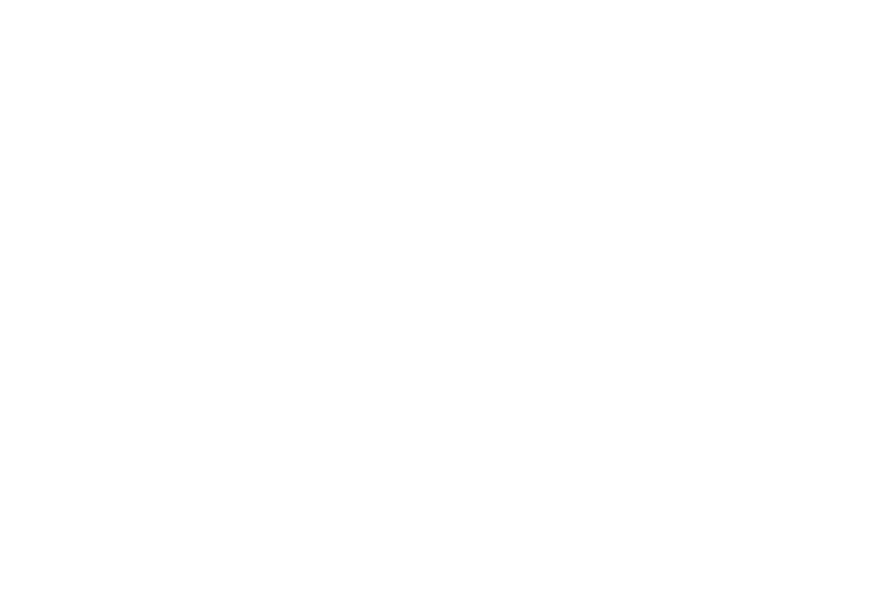 FINALIST - New York Flash Film Festival - 2021.png