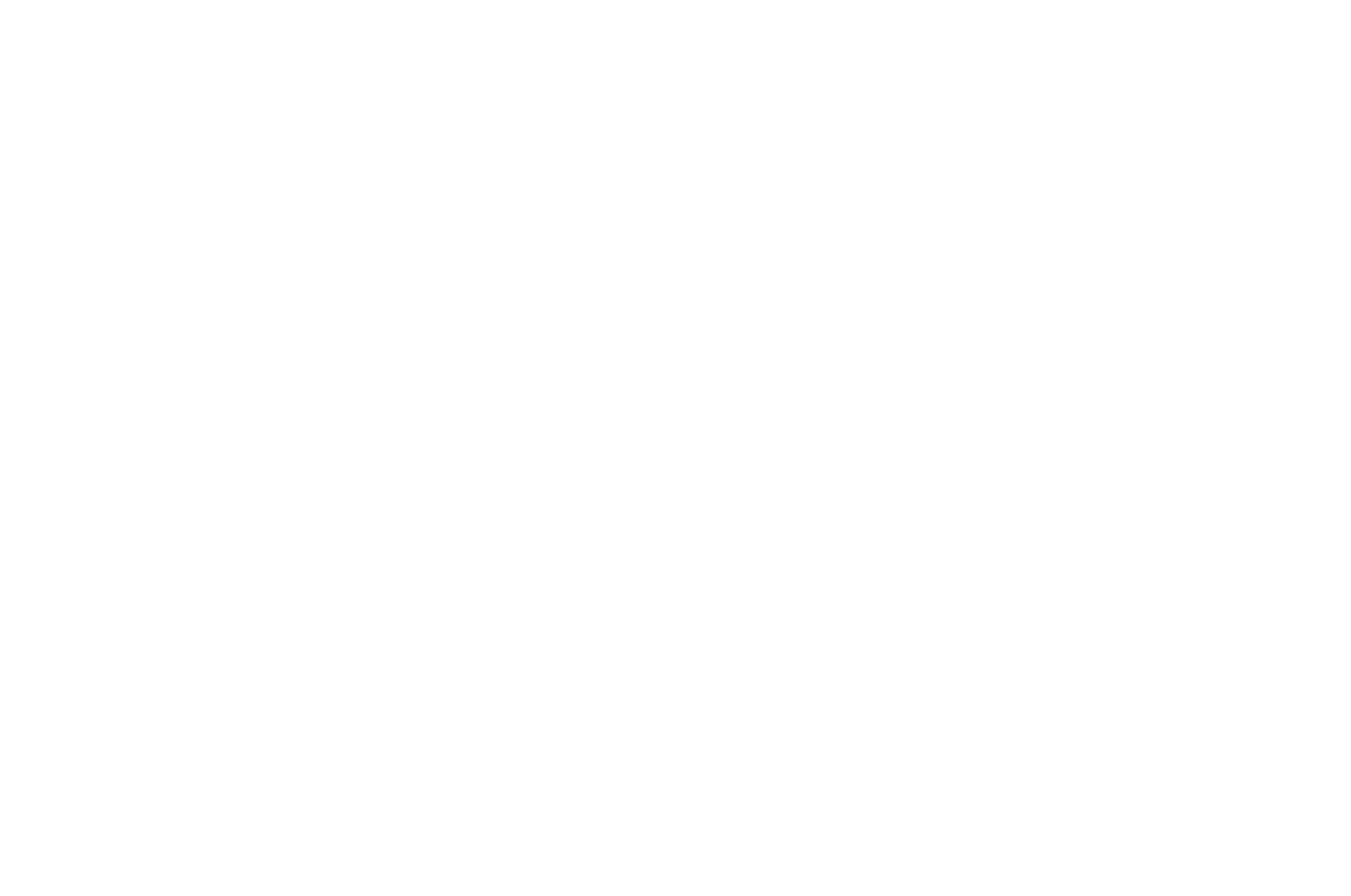 WINNER - AltFF Alternative Film Festival - 2021.png