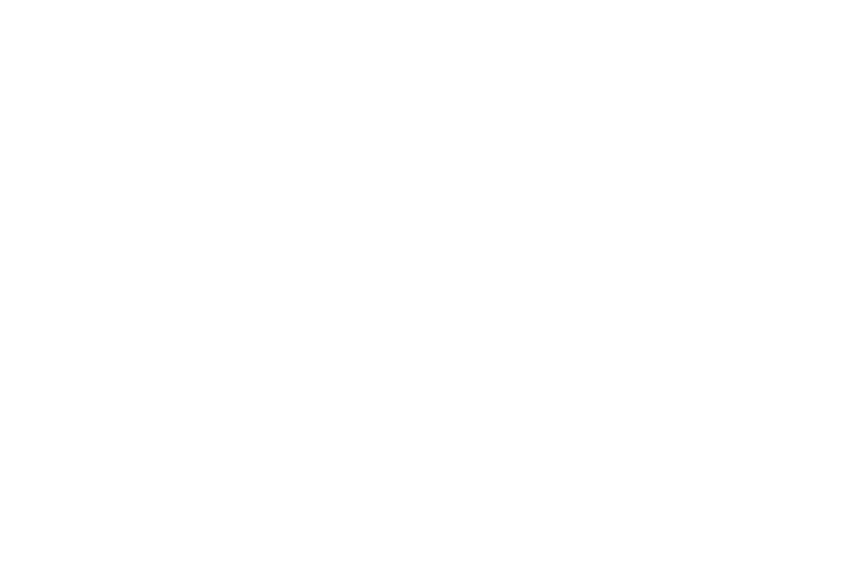 OFFICIAL SELECTION - Turnpike Film Festival - 2021.png