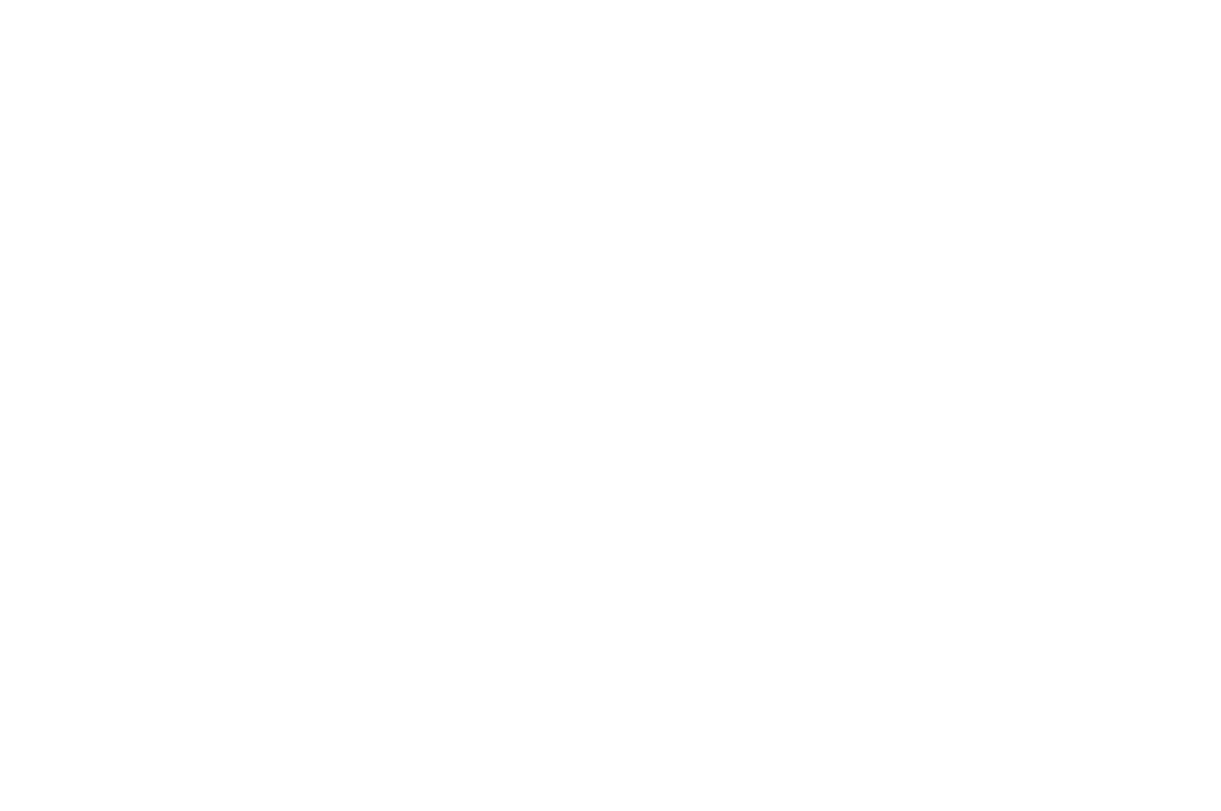 HONORABLE MENTION          BEST NARRATIVE OVERALL - Narrative Film Festival - 2021.png