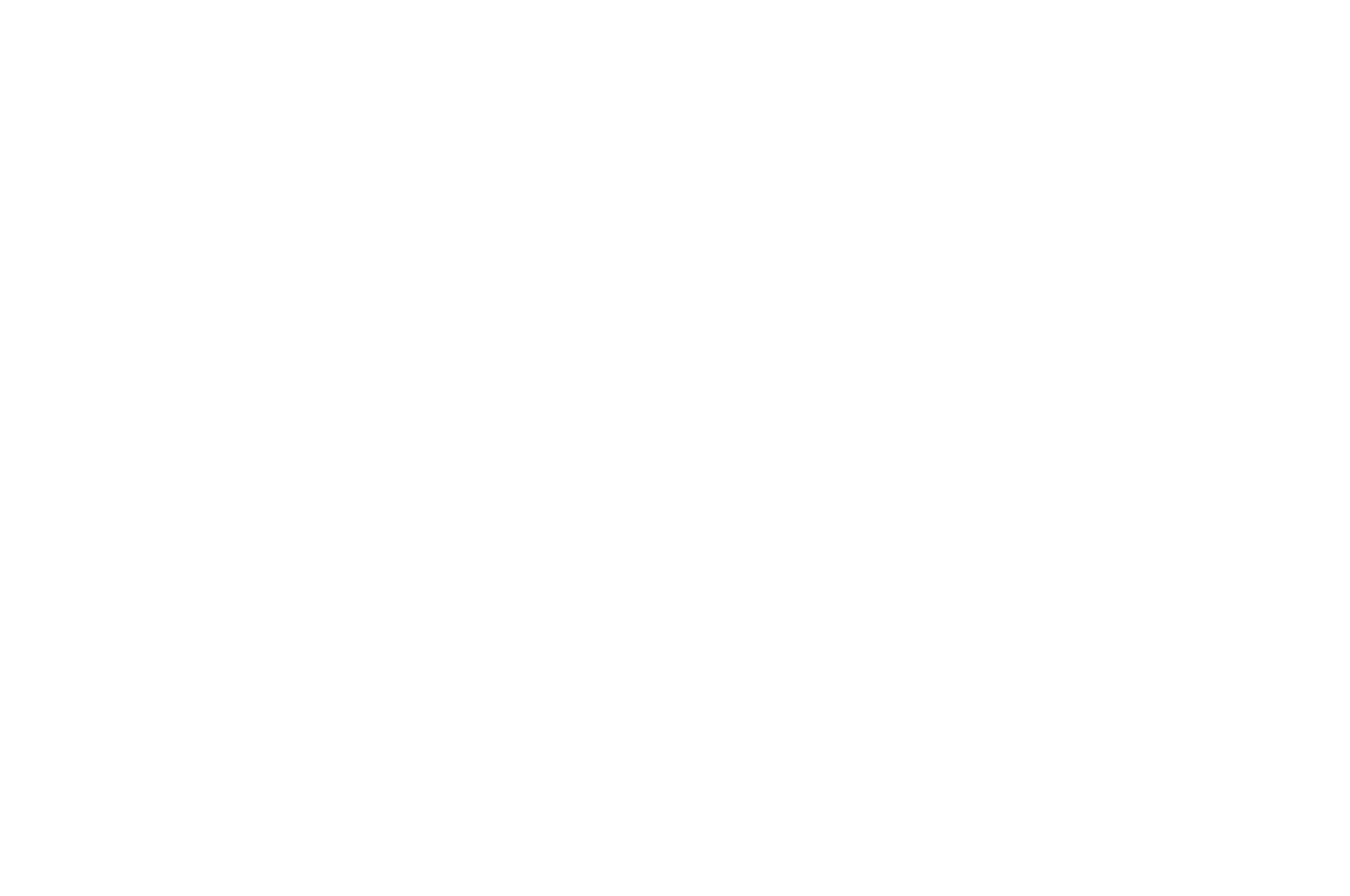 FINALIST - MicroMania Film Festival - 2021.png