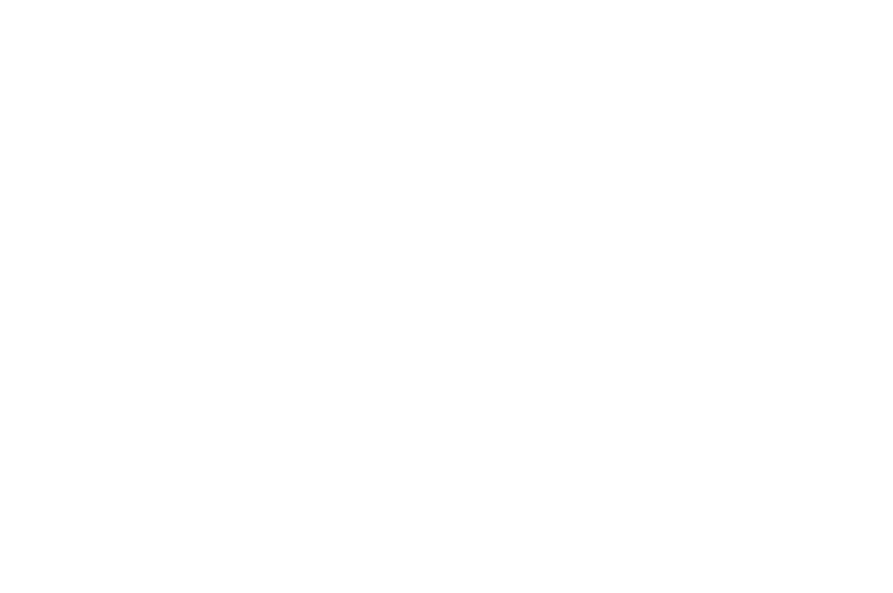 OFFICIAL SELECTION - Niagara Falls International  Short Festival - 2021.png