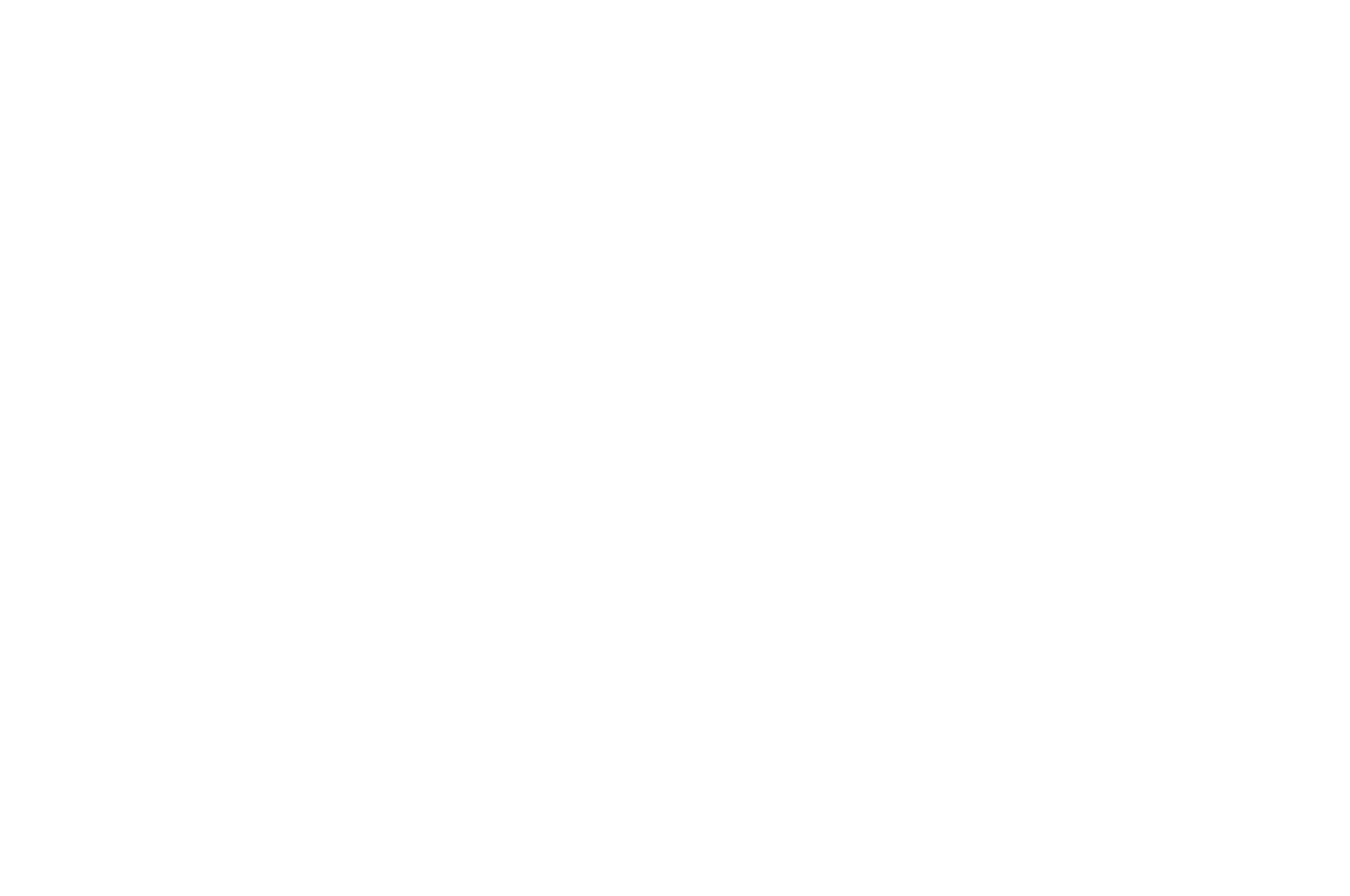 OFFICIAL SELECTION - Studio City International Film  TV Festival - 2020.png