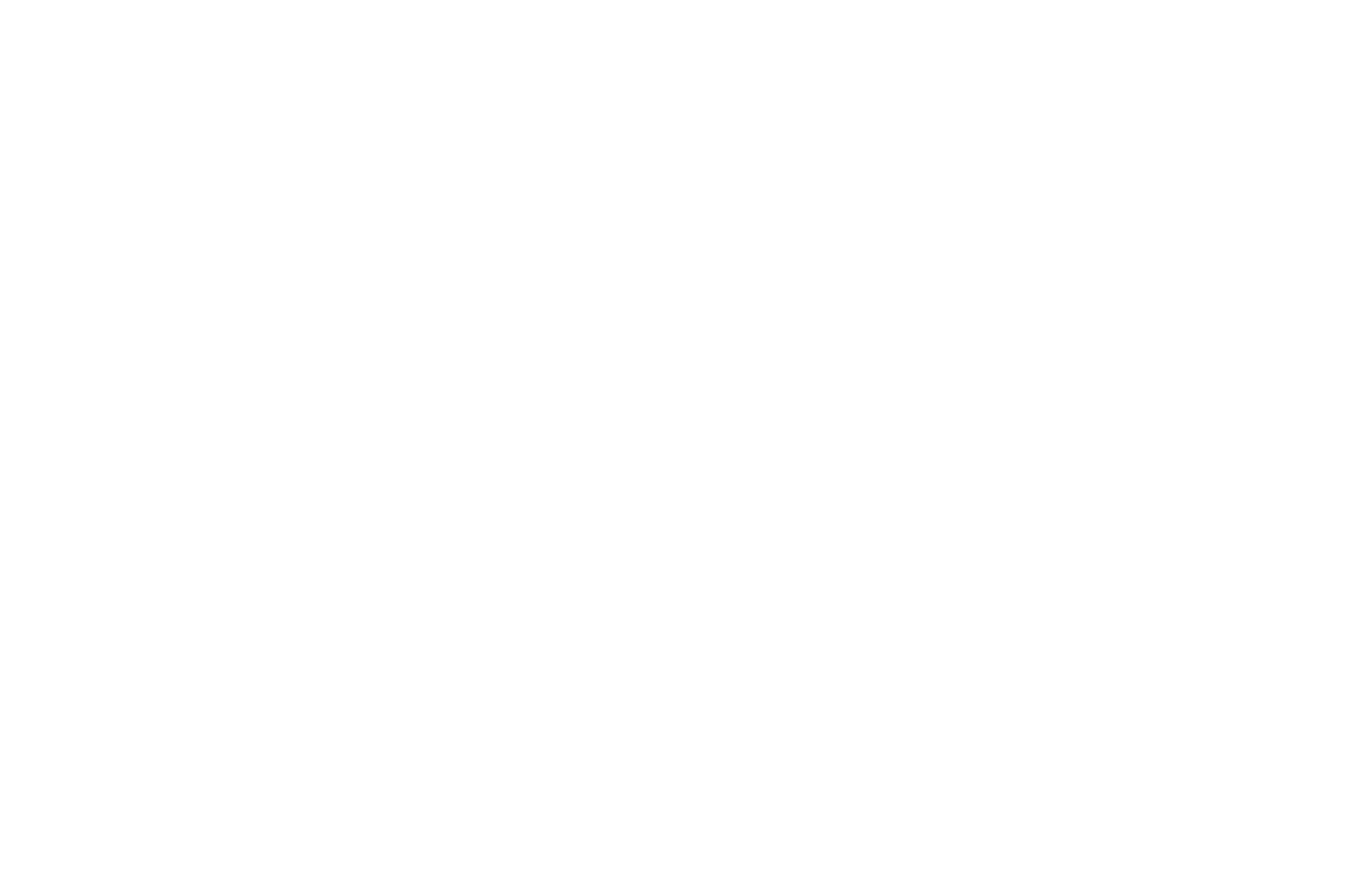 OFFICIAL SELECTION - 307 International Film Festival Wyoming - 2021.png