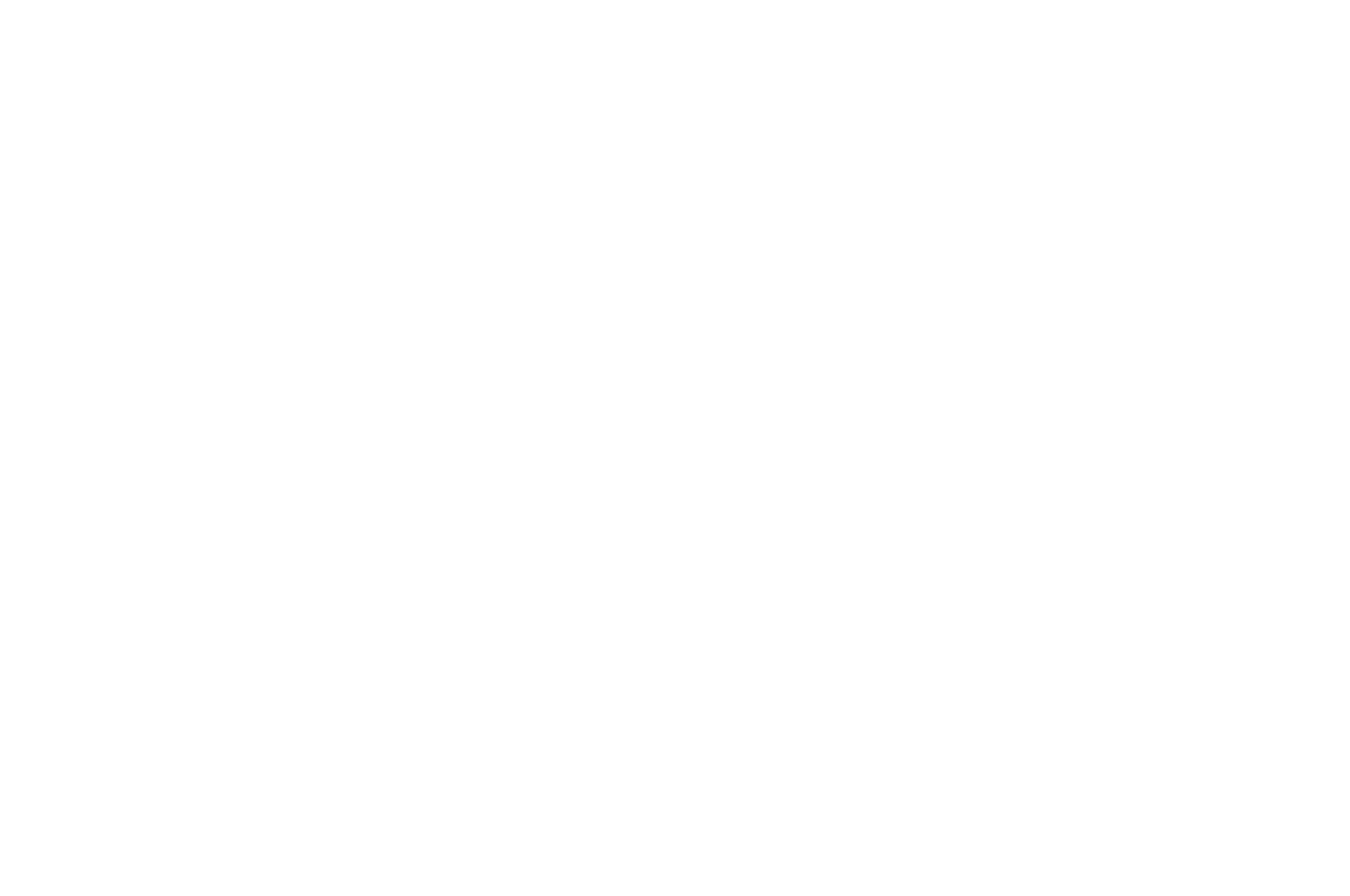 OFFICIAL SELECTION - Southern Oasis Film Festival - 2021.png