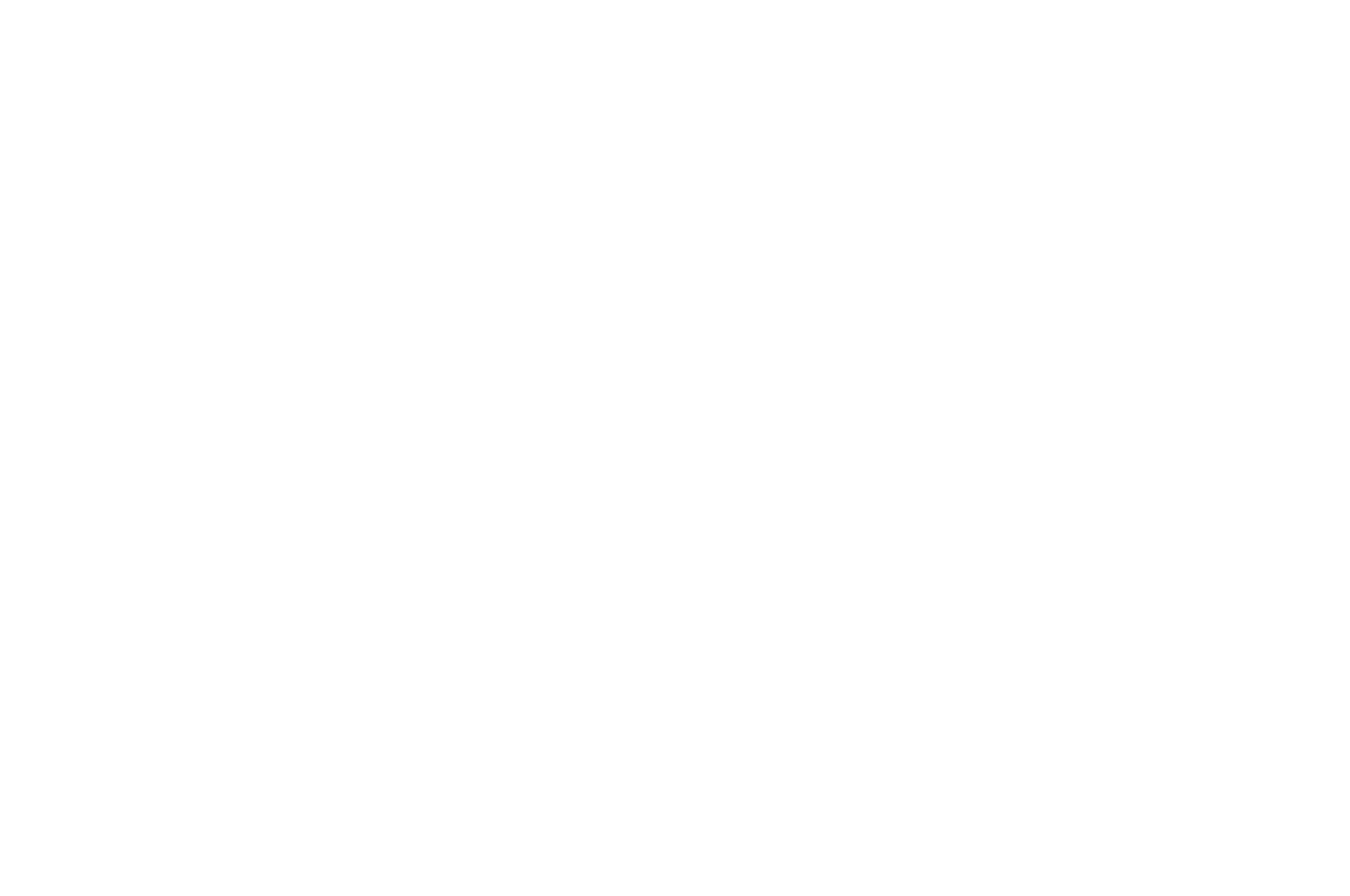 FINALIST - Lake Placid Film Festival 2022 - 2021.png