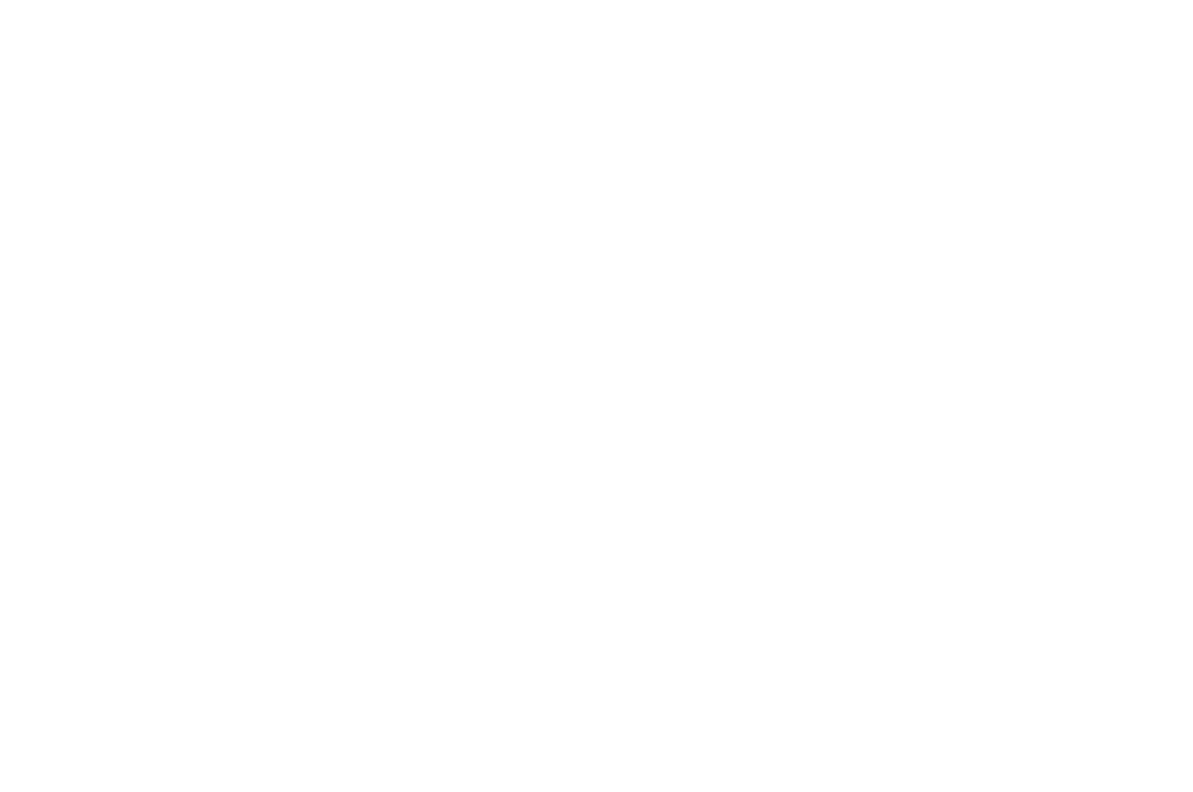 HONORABLE MENTION - Sound And Vision International Film  Technology Festival - 2021.png