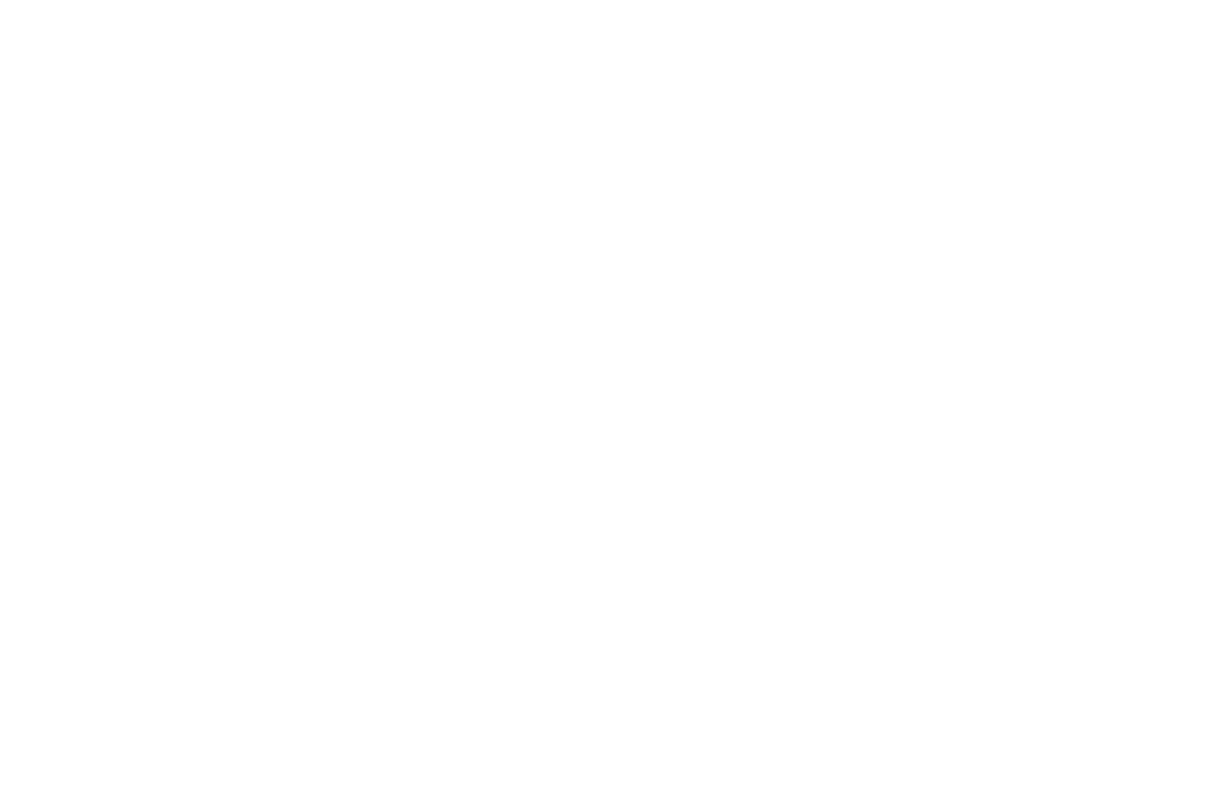 FINALIST - Mindfield Film Festival  Albuquerque - 2021.png