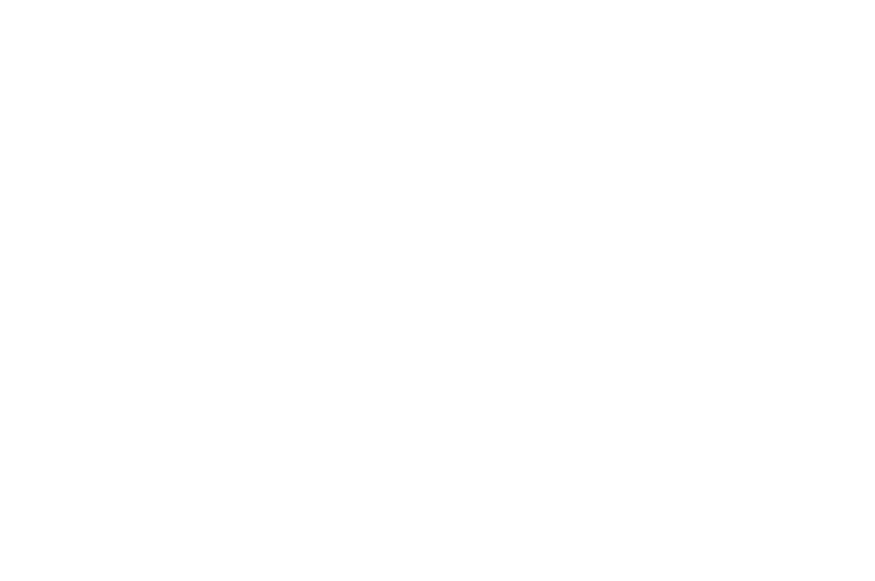 OFFICIAL SELECTION - The Macoproject Film Festival - 2021.png